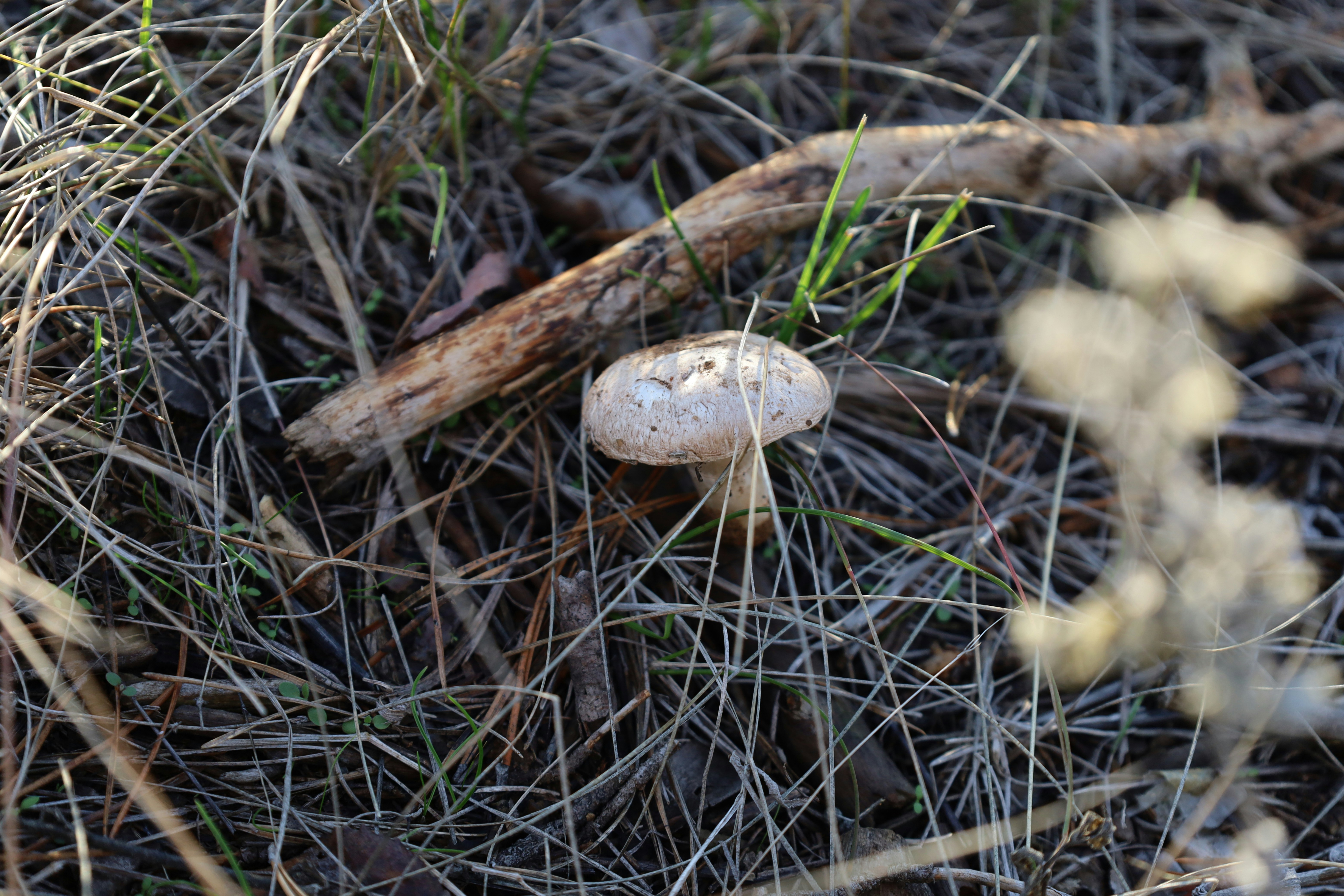 Photo by mariya_glukhova