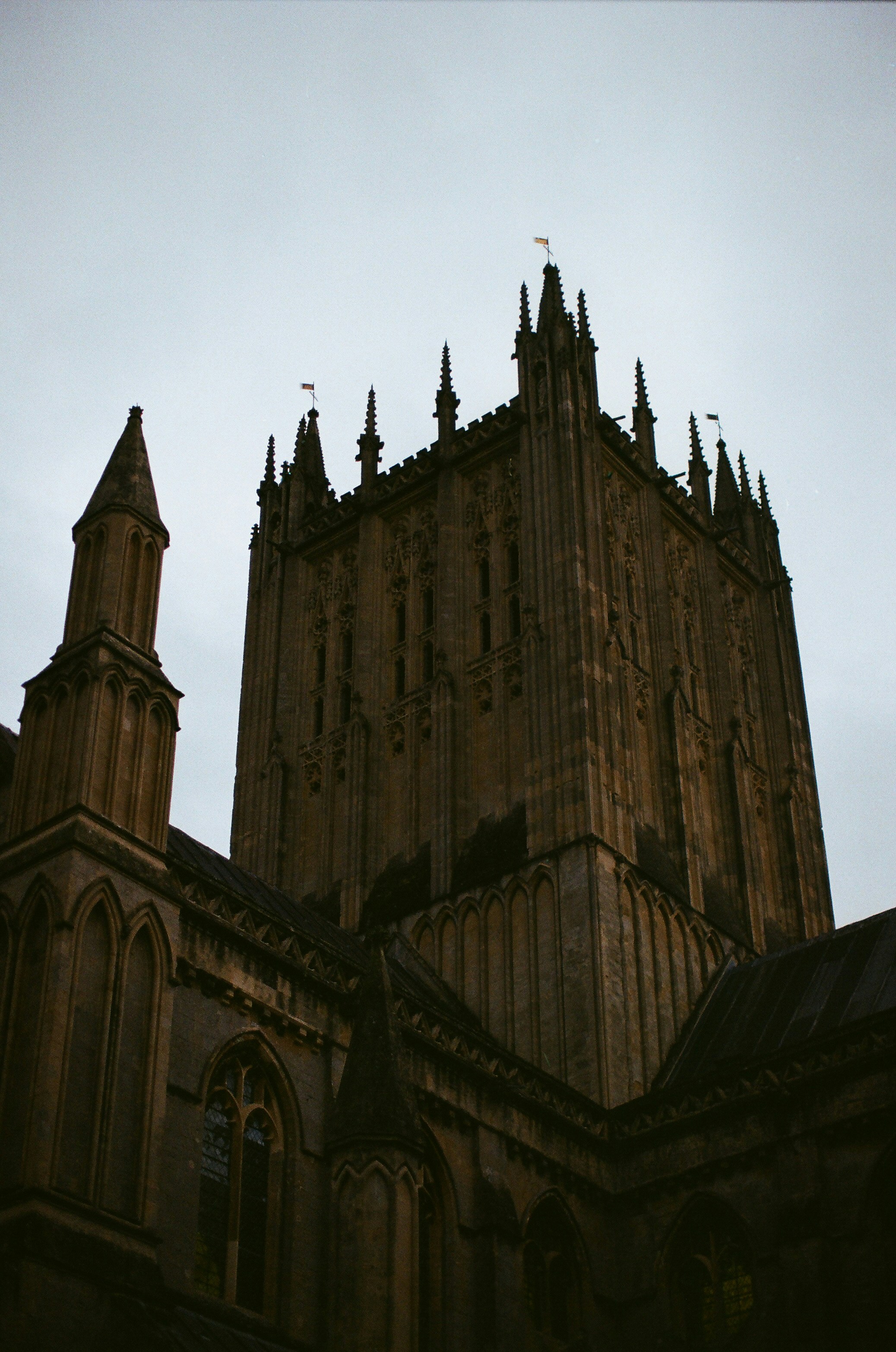 Photo by tanyabarrow