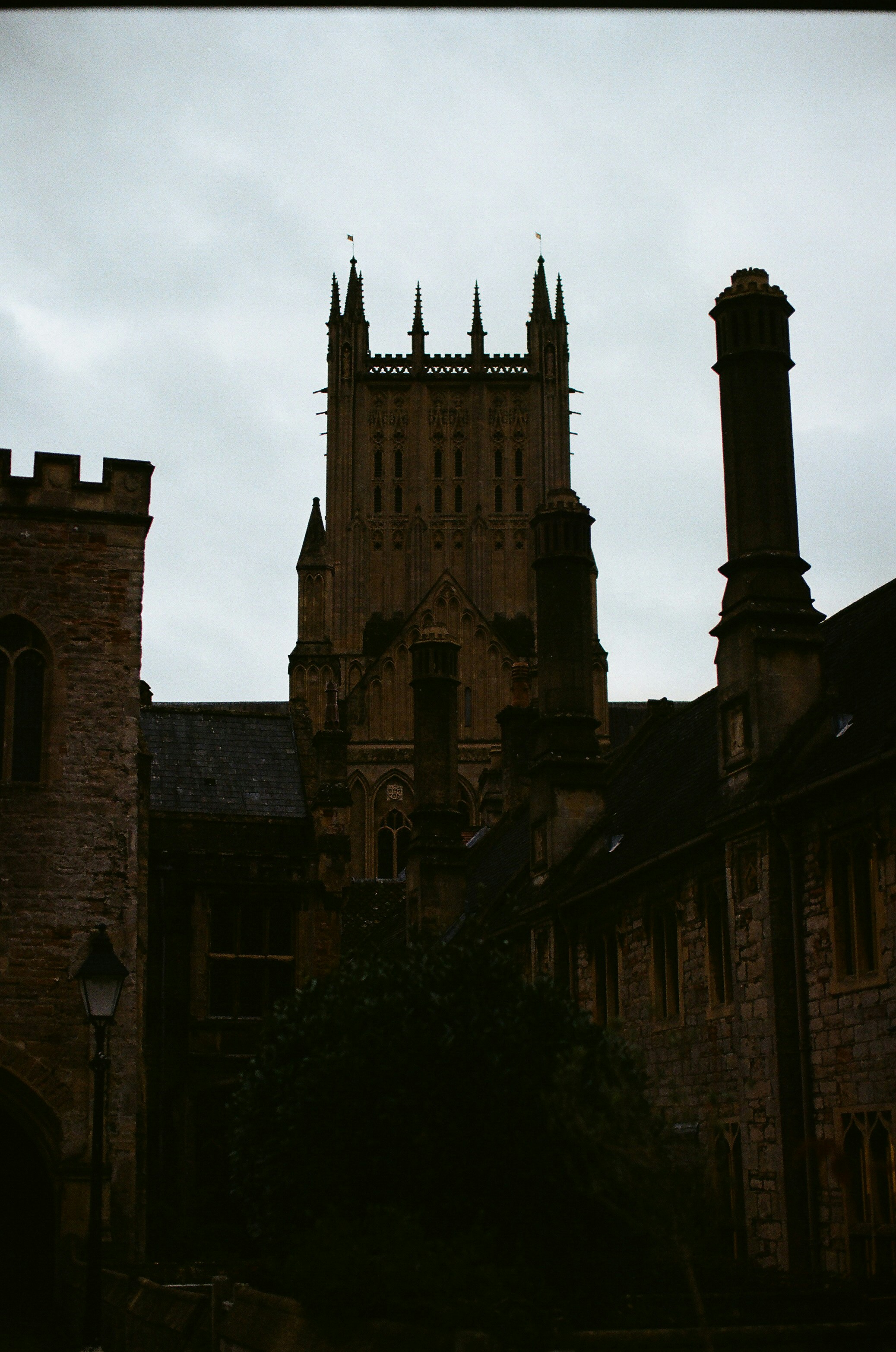 Photo by tanyabarrow