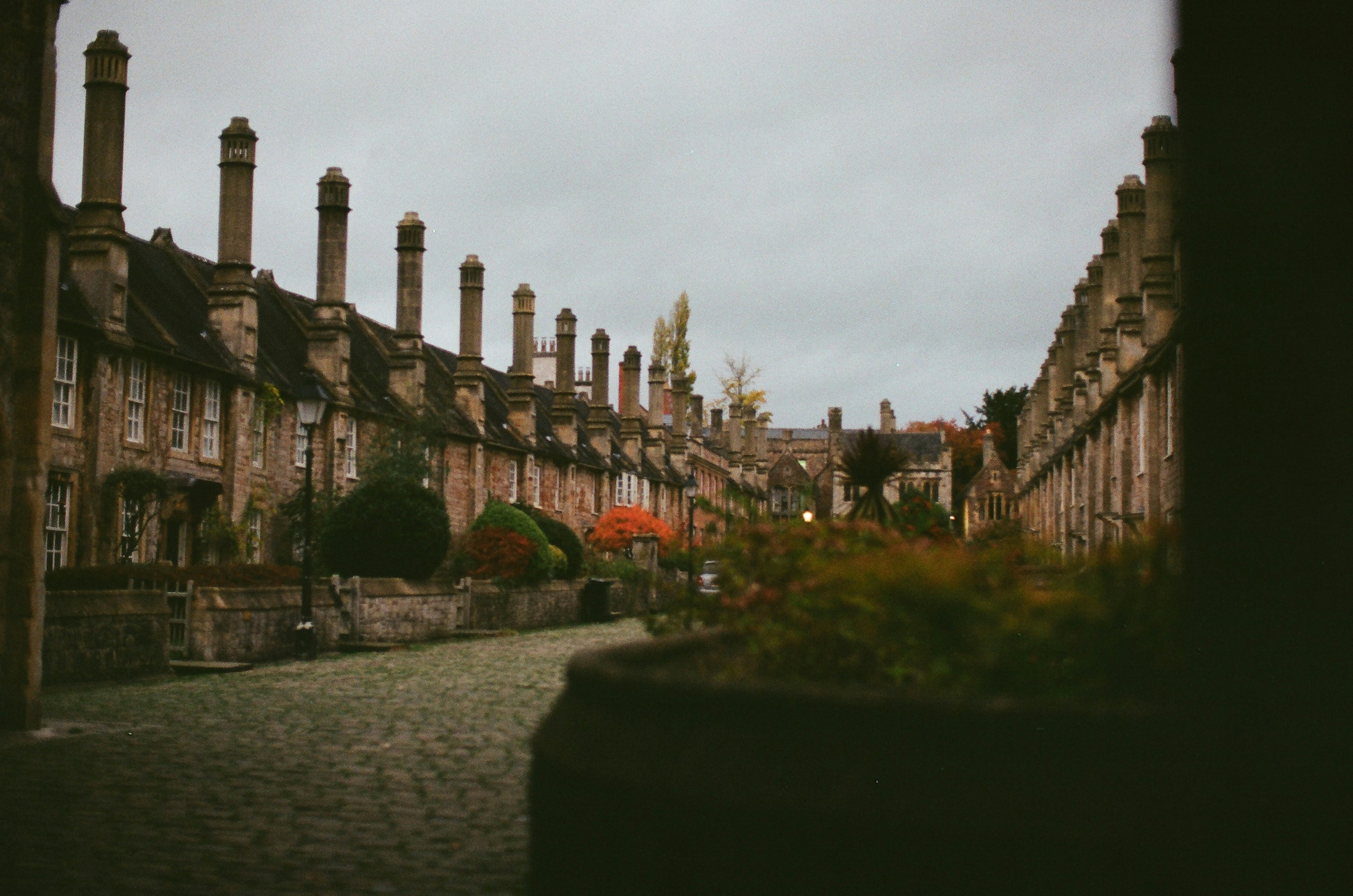 Photo by tanyabarrow