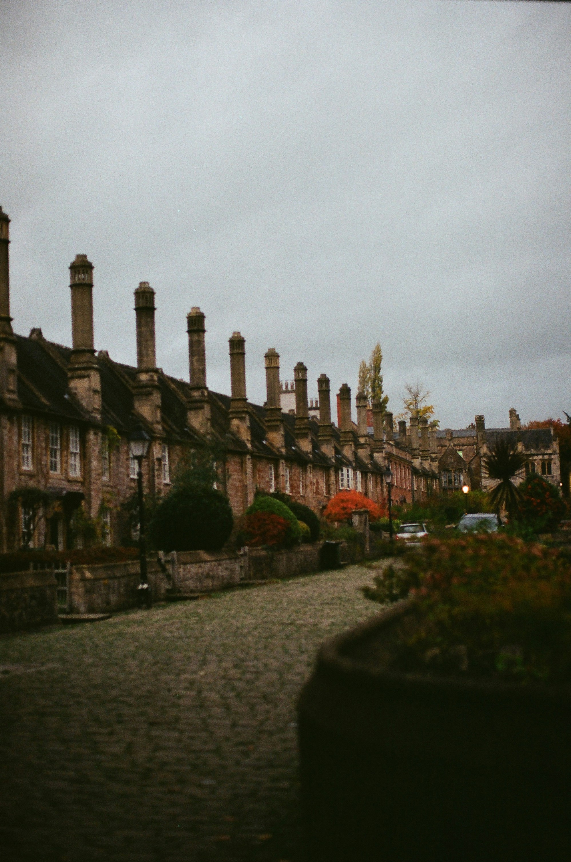 Photo by tanyabarrow