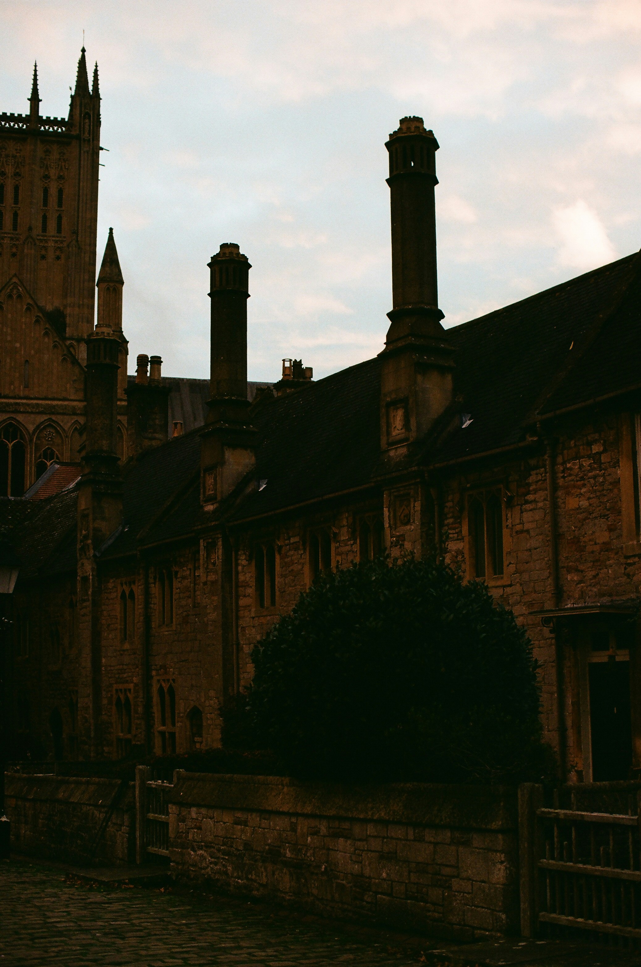 Photo by tanyabarrow