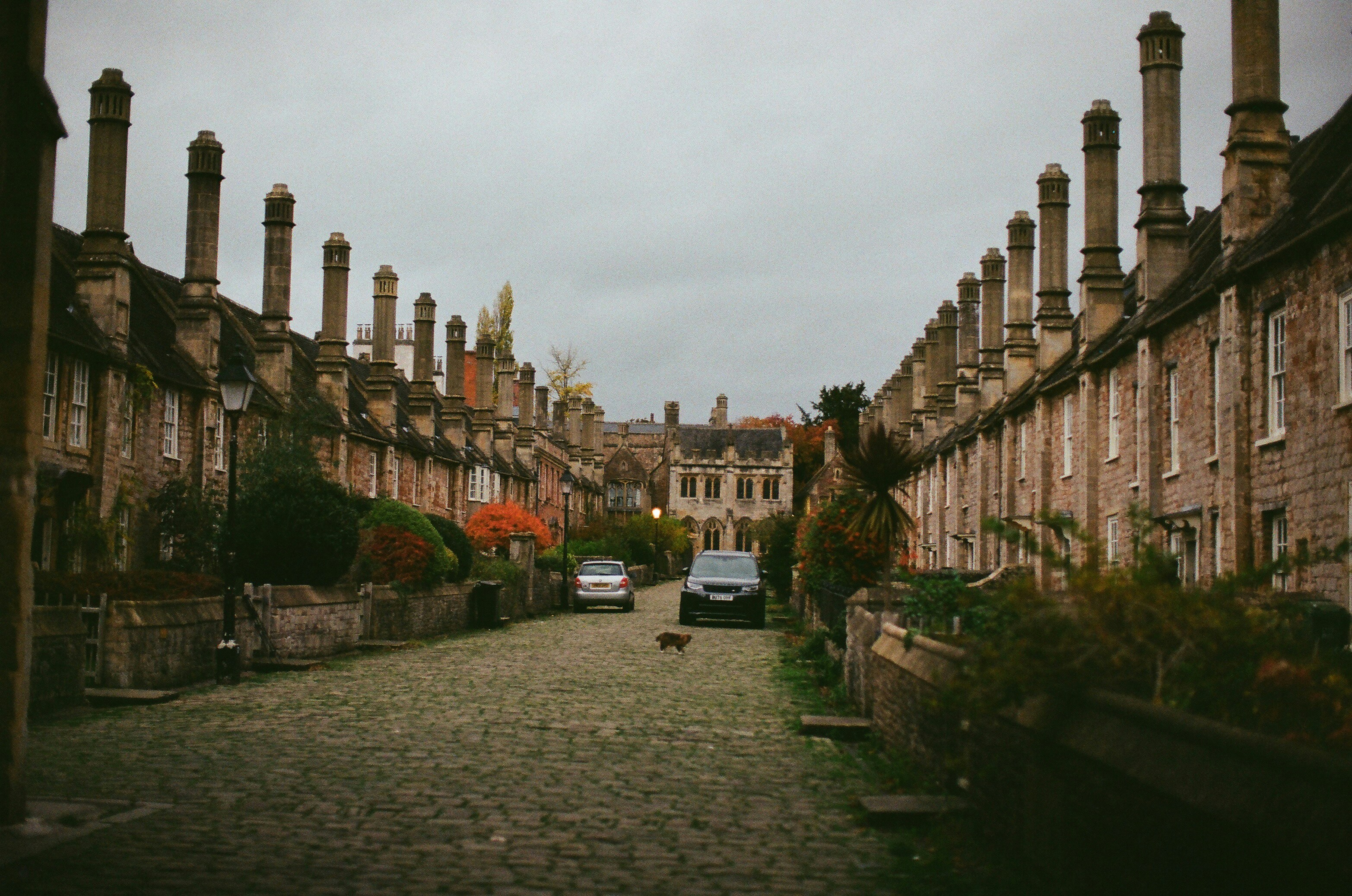 Photo by tanyabarrow