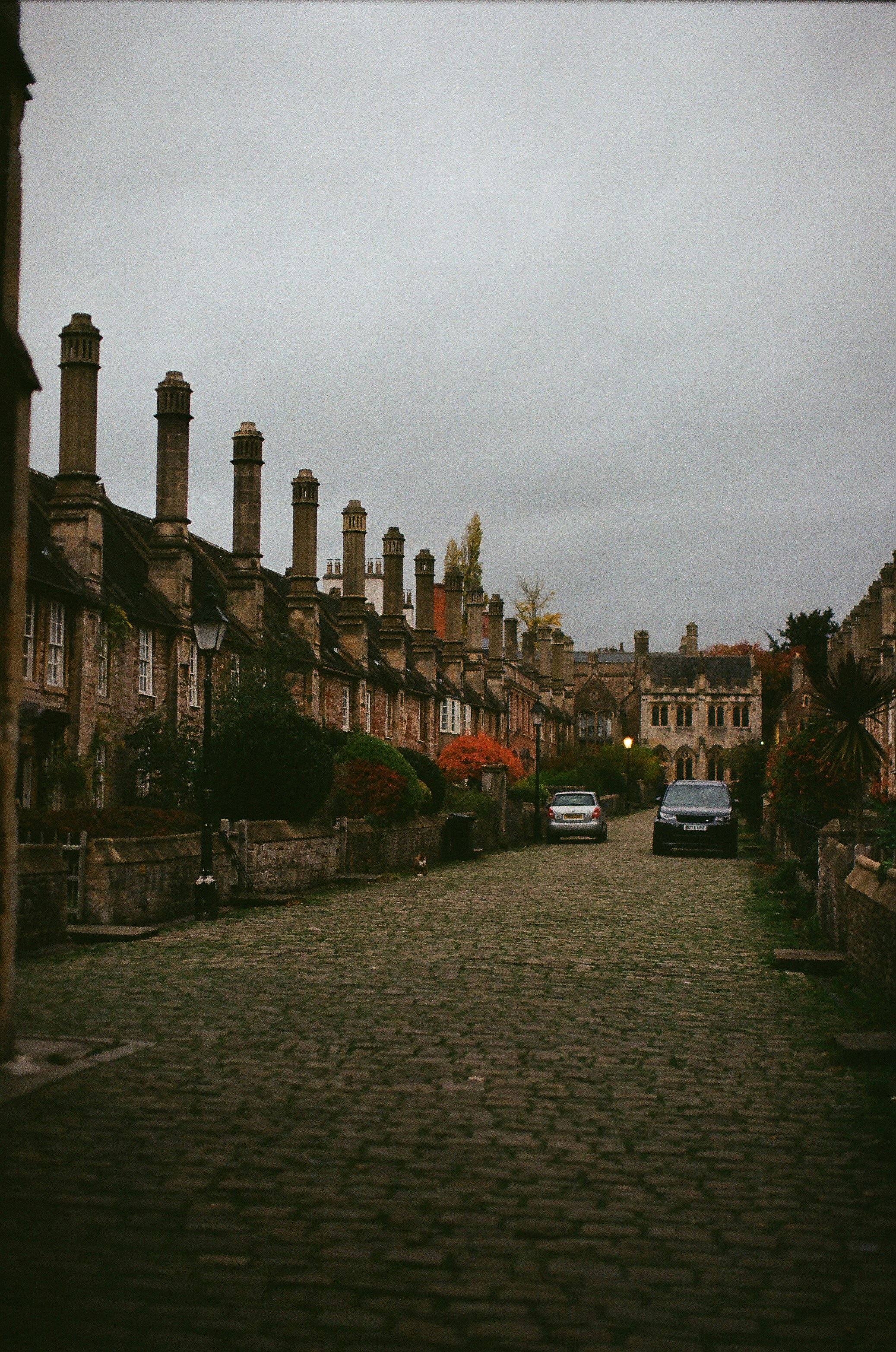 Photo by tanyabarrow