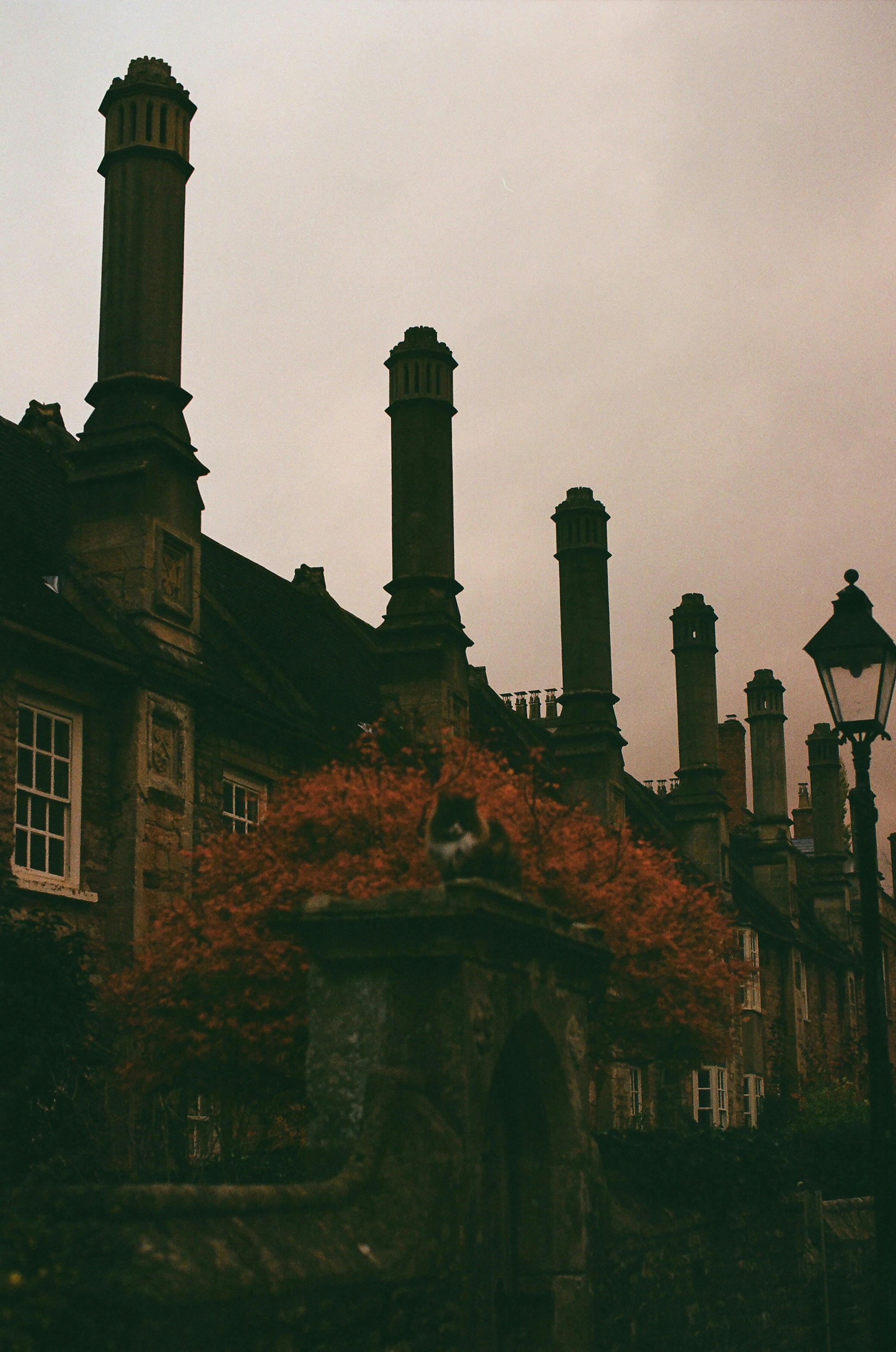 Photo by tanyabarrow