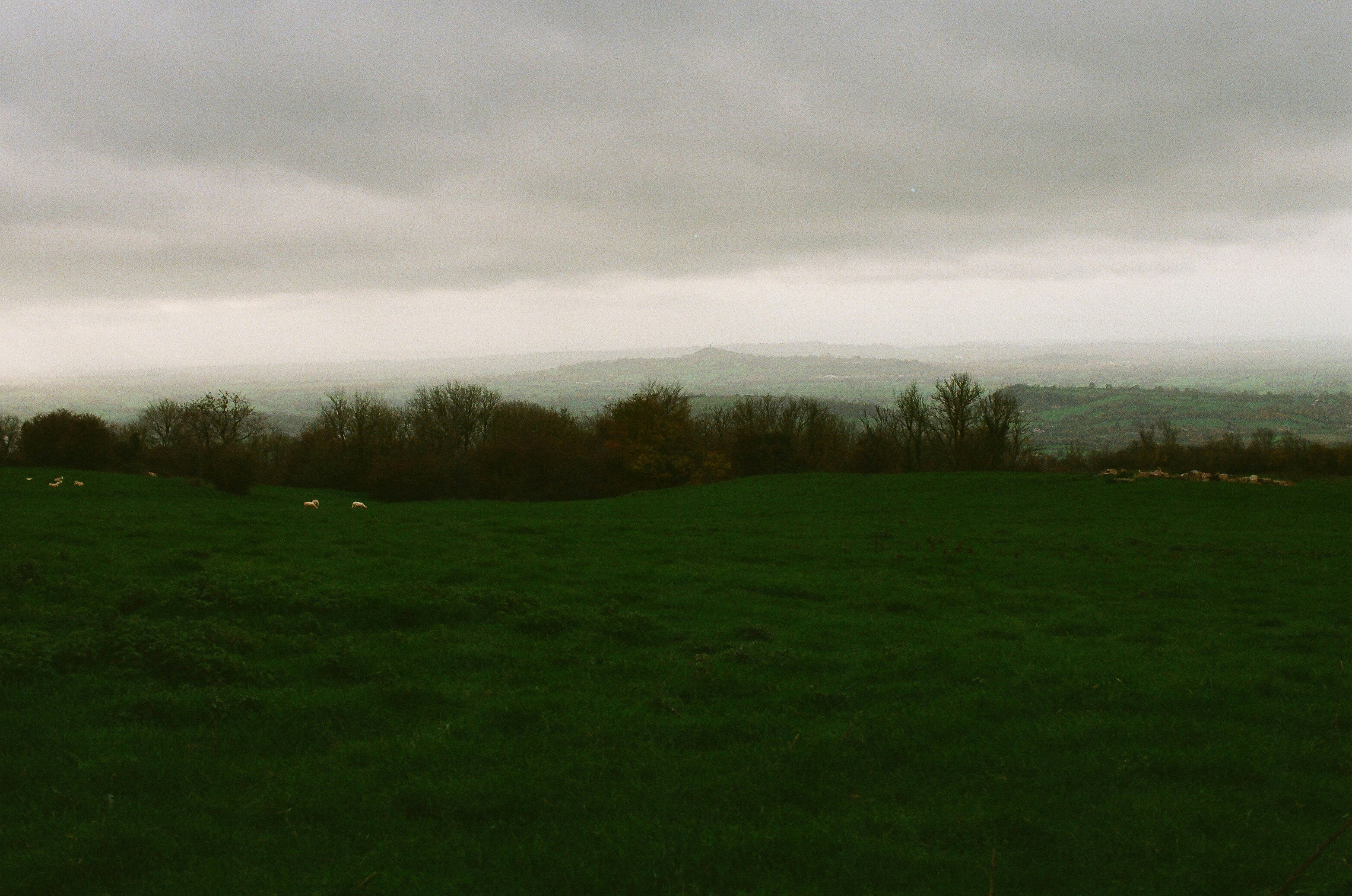 Photo by tanyabarrow