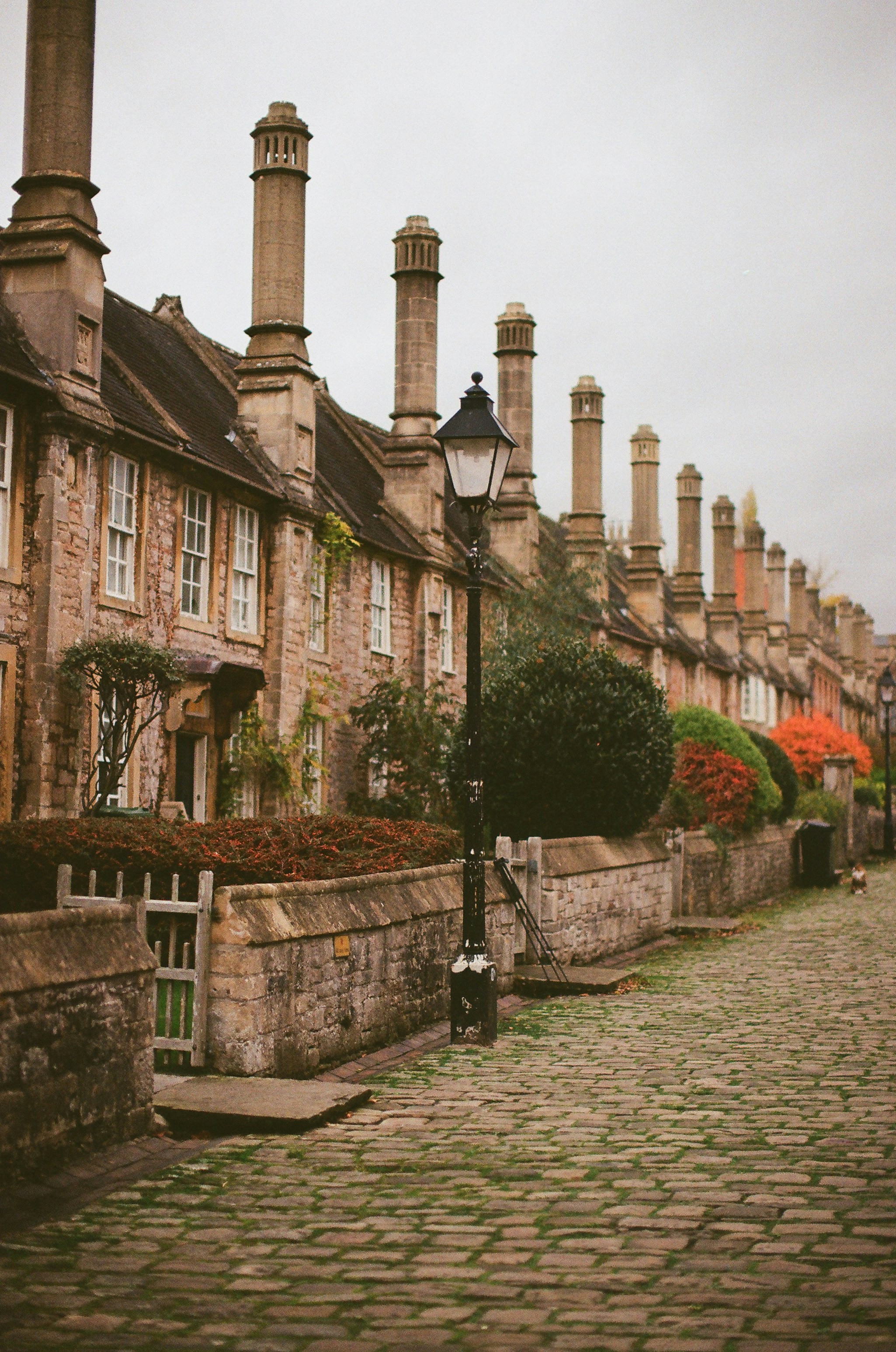 Photo by tanyabarrow