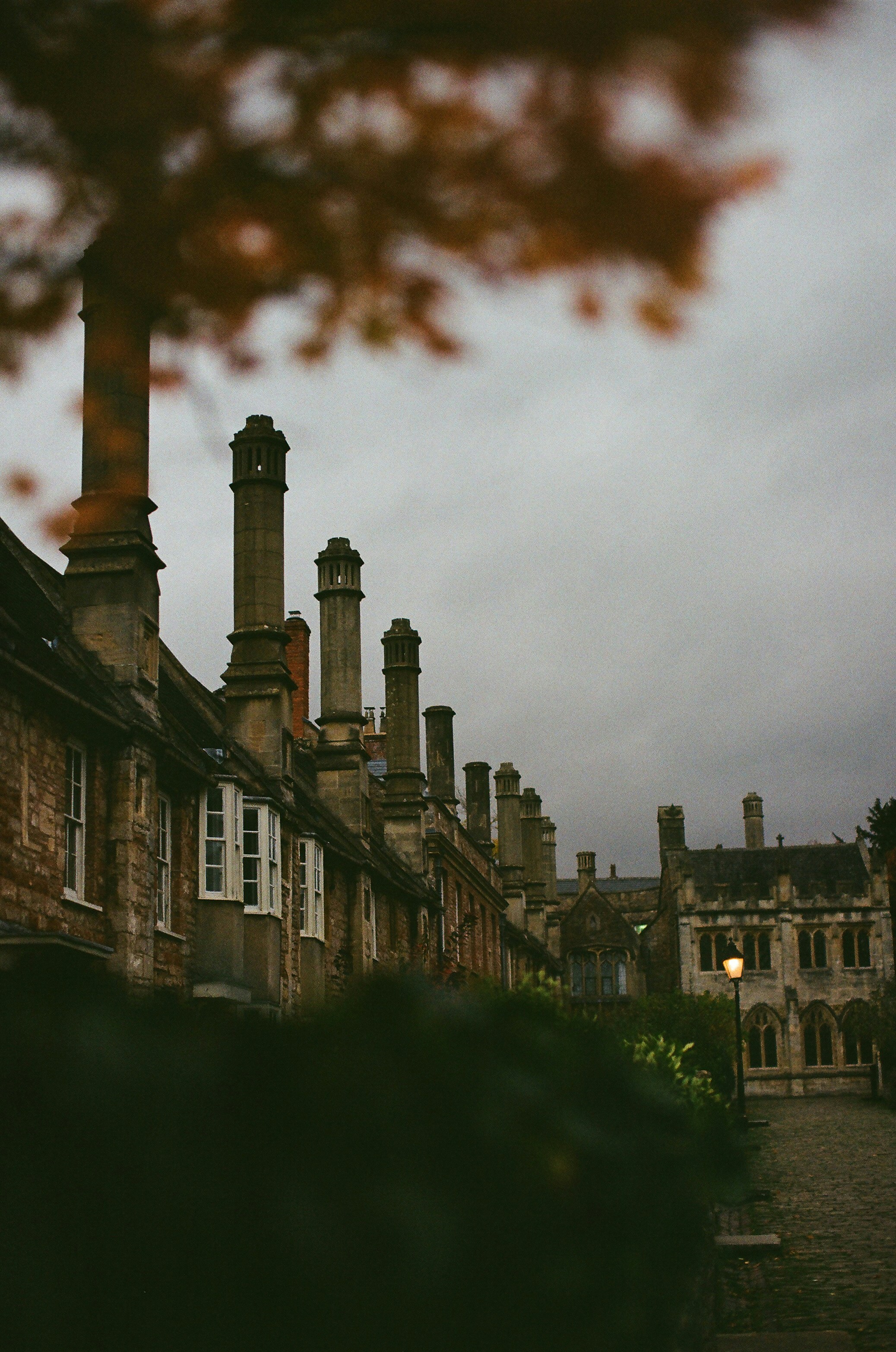 Photo by tanyabarrow