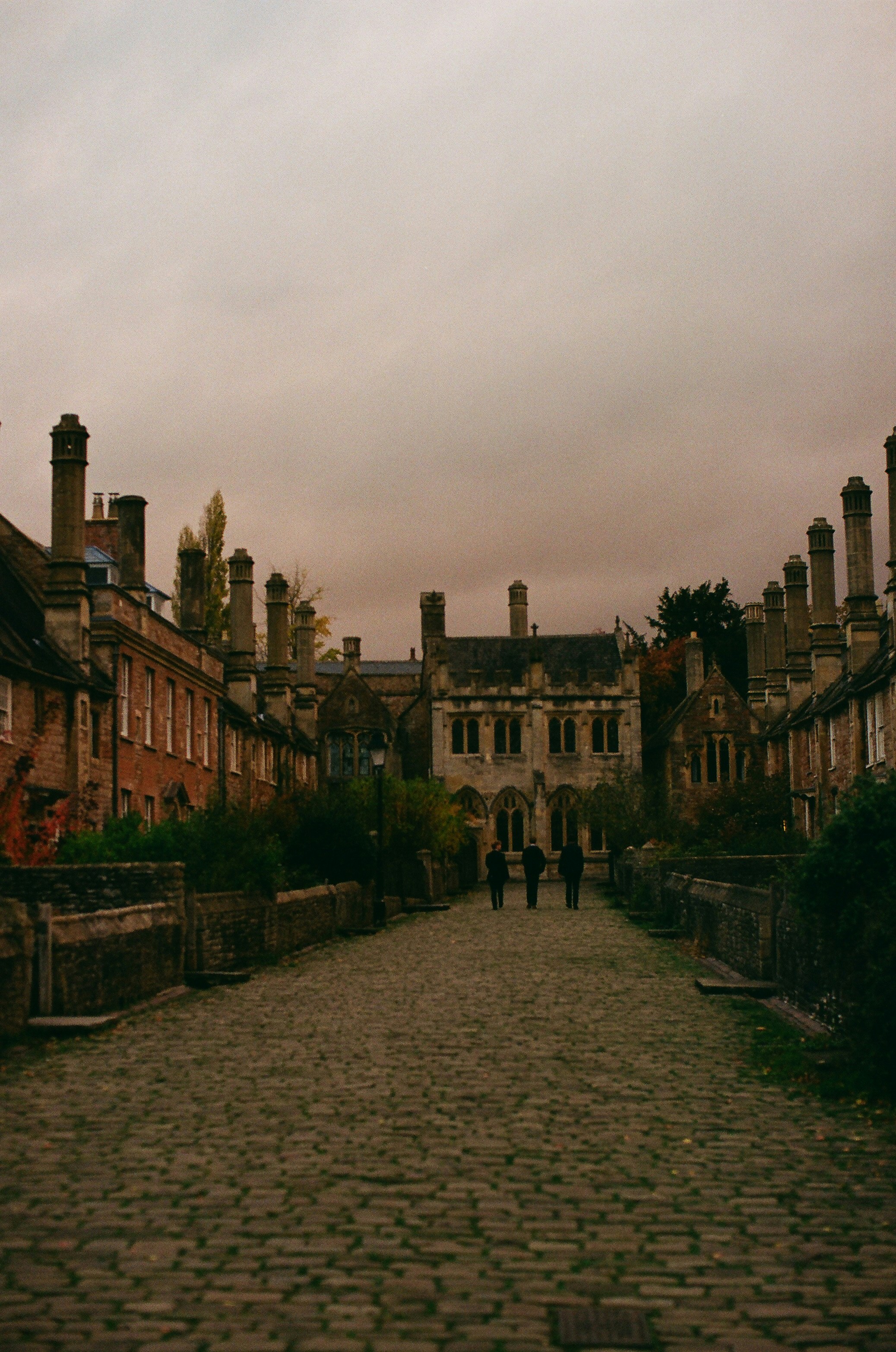 Photo by tanyabarrow