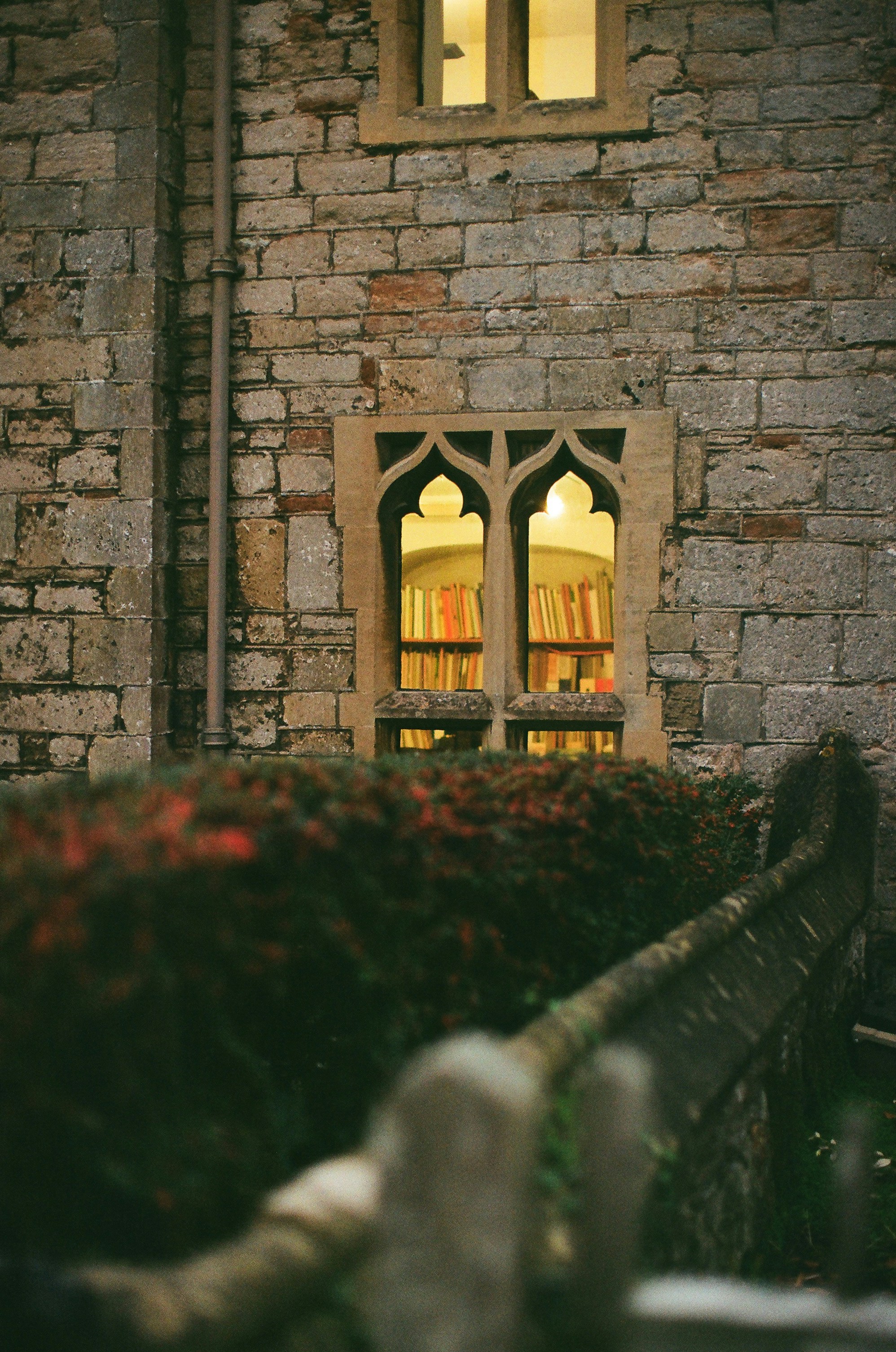 Photo by tanyabarrow