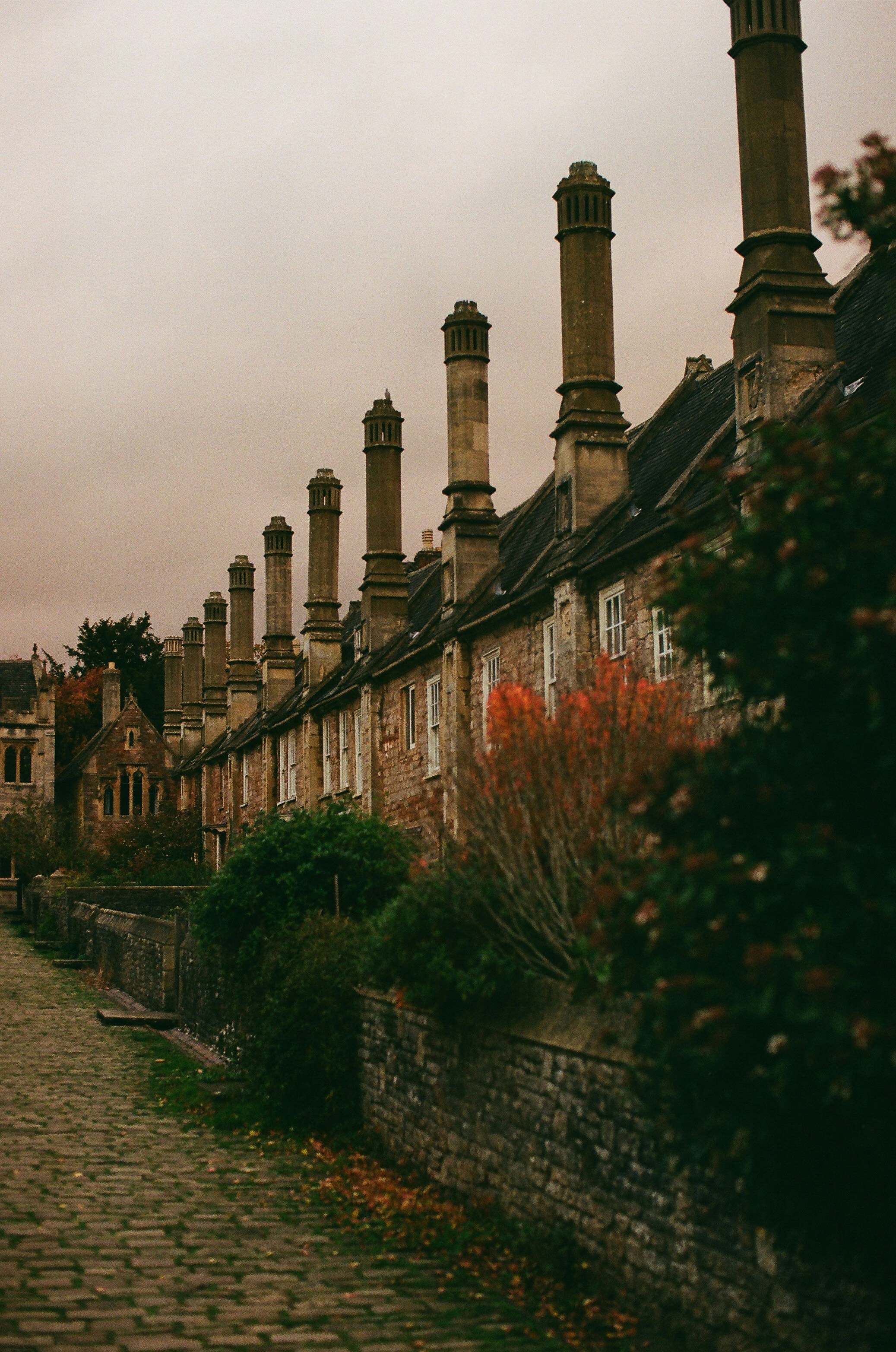 Photo by tanyabarrow