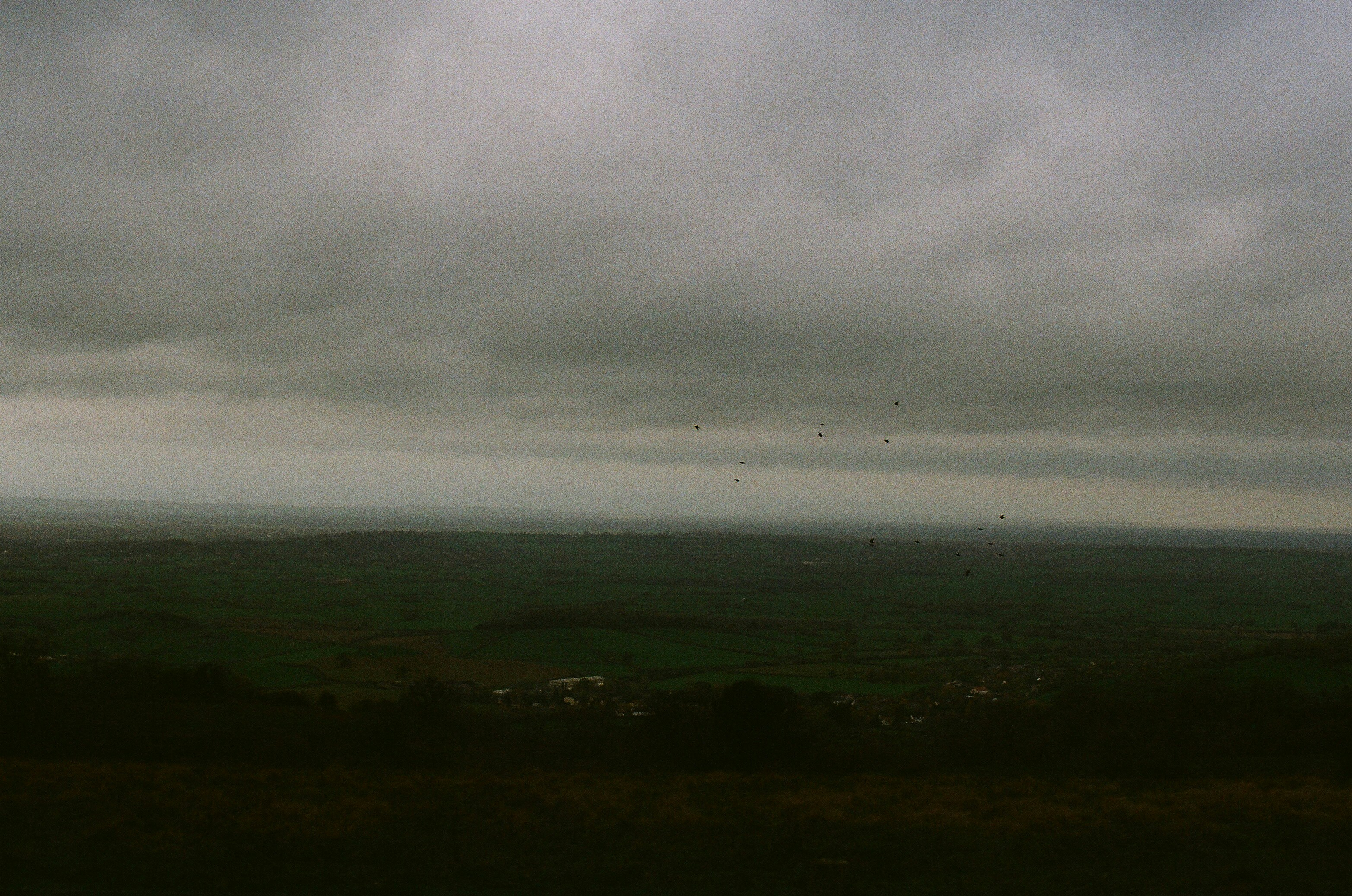 Photo by tanyabarrow