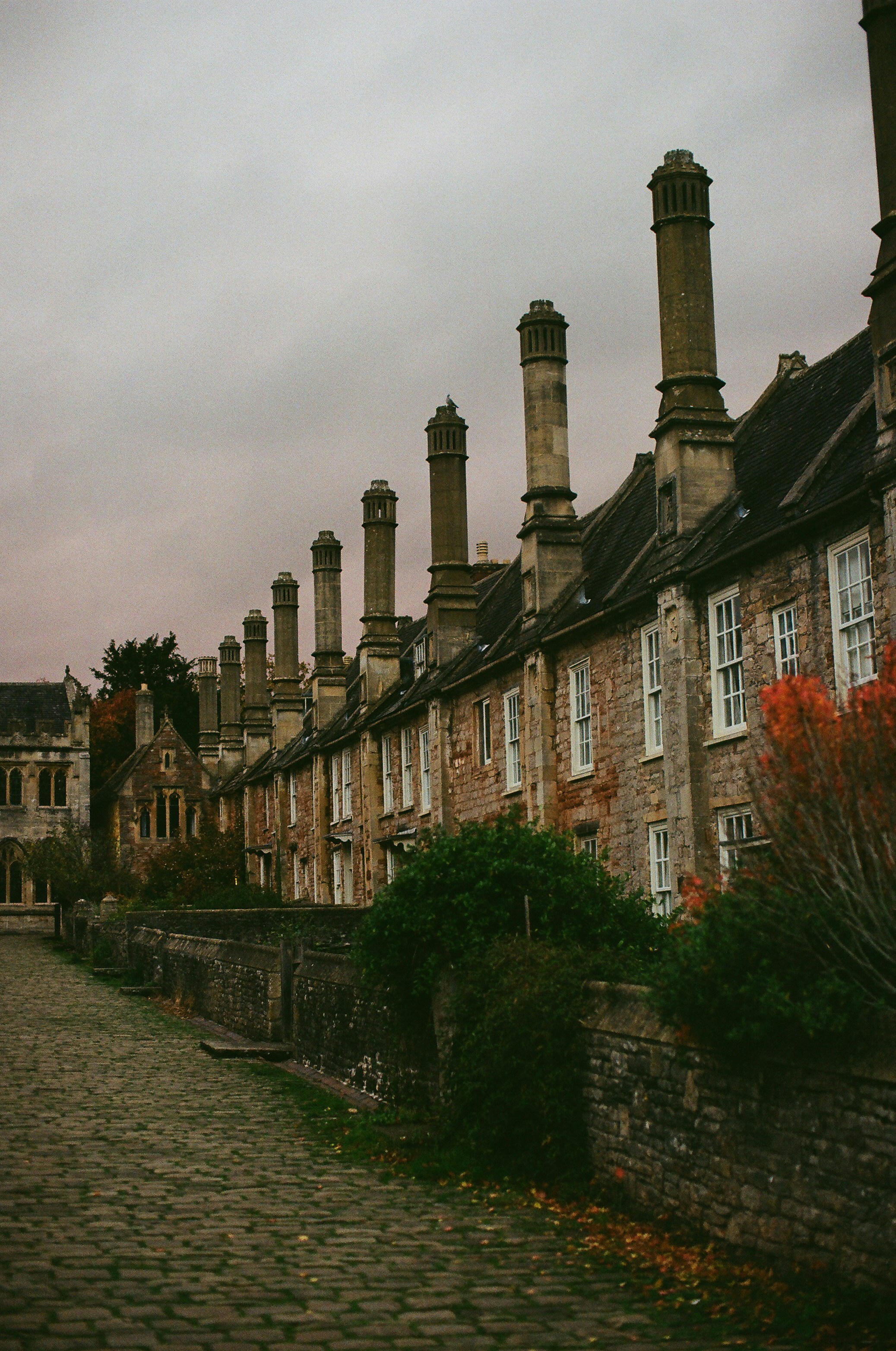 Photo by tanyabarrow