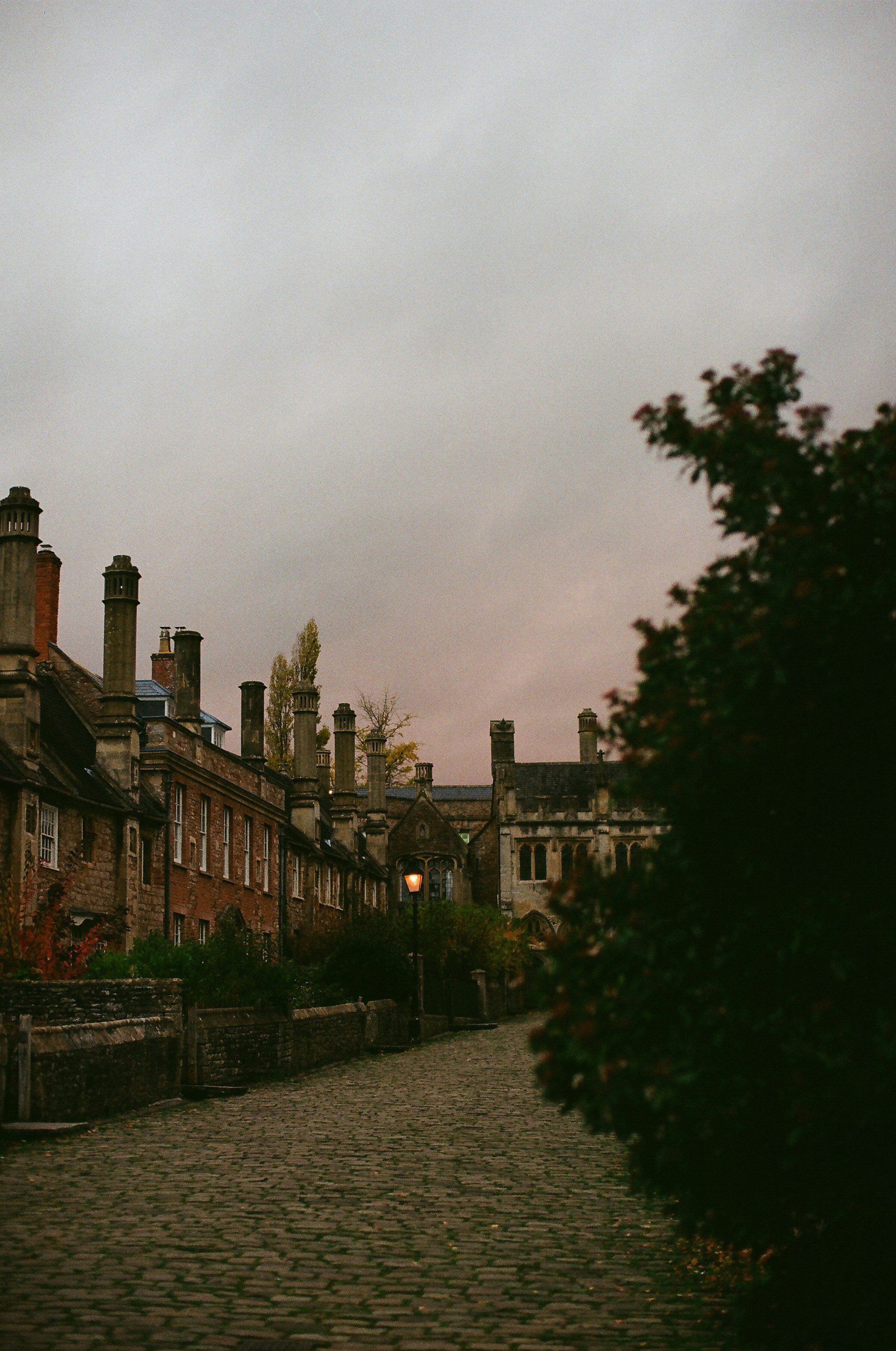 Photo by tanyabarrow