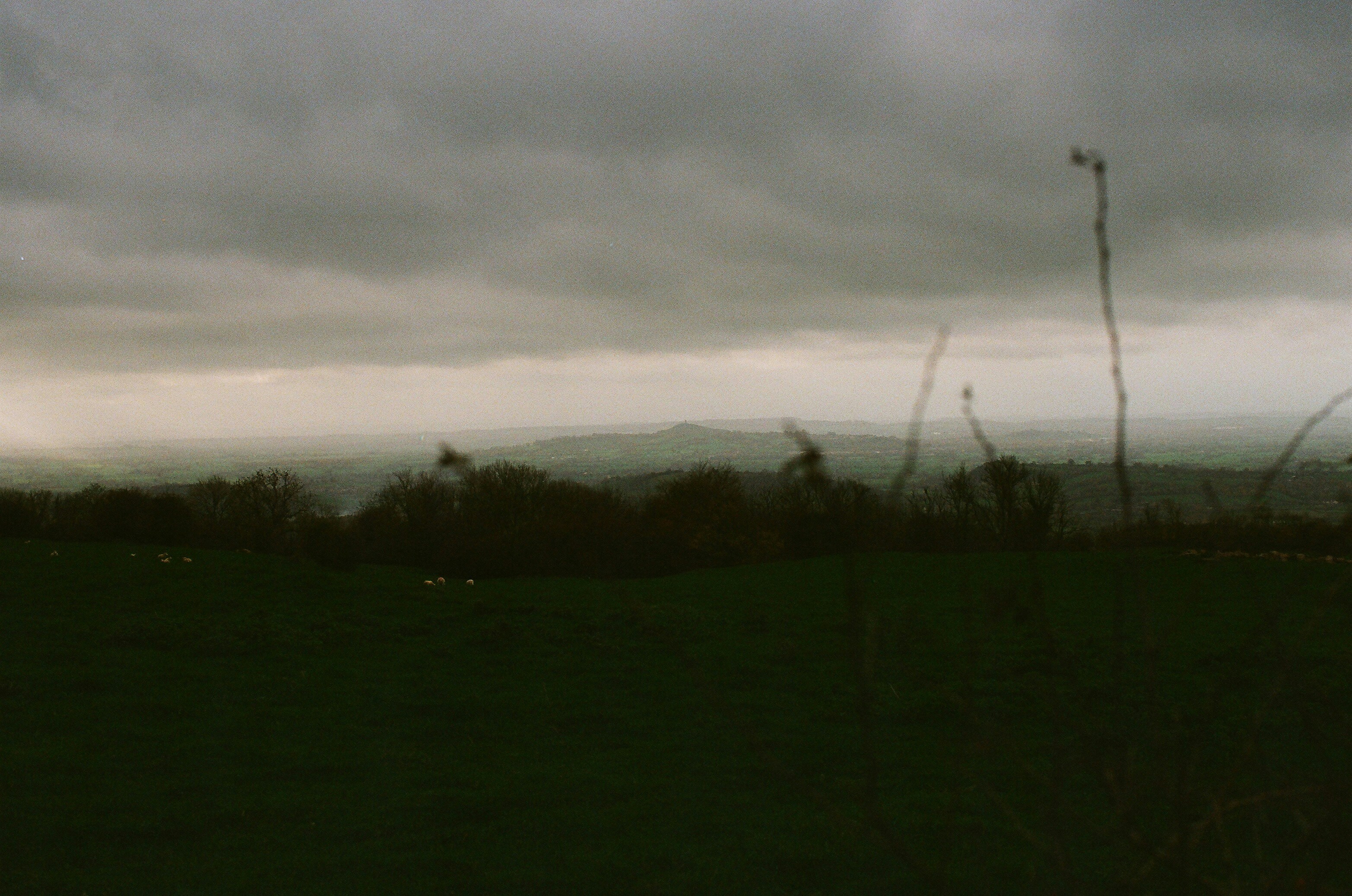 Photo by tanyabarrow