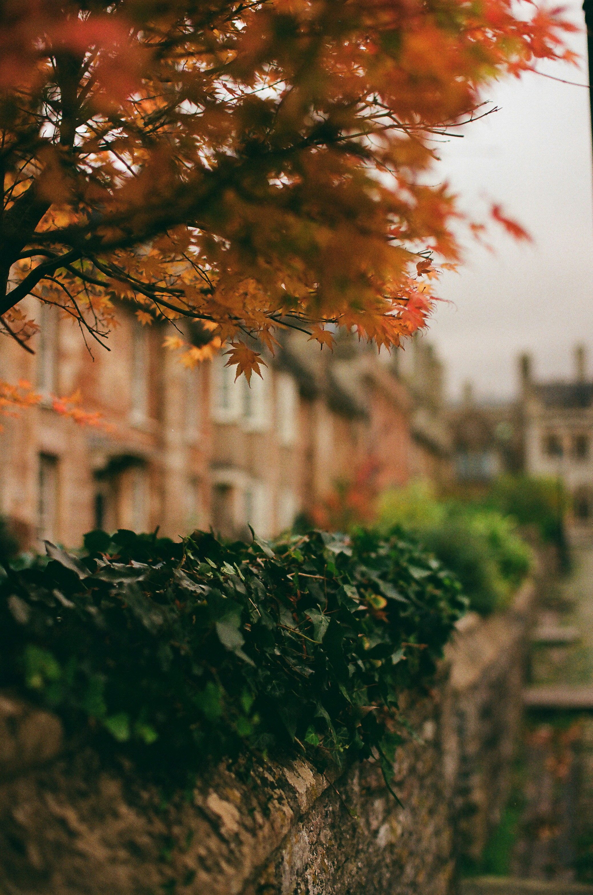 Photo by tanyabarrow