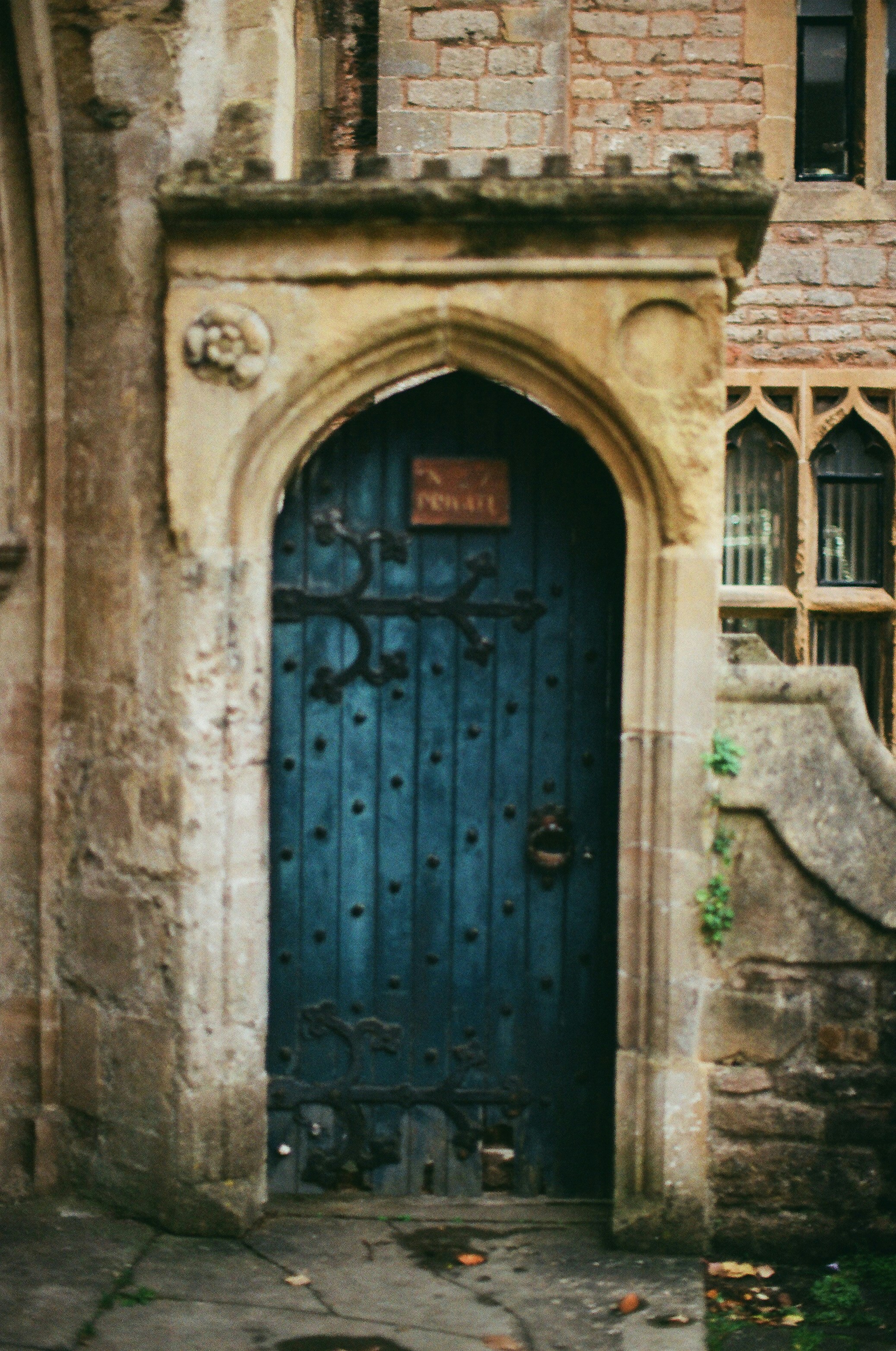 Photo by tanyabarrow