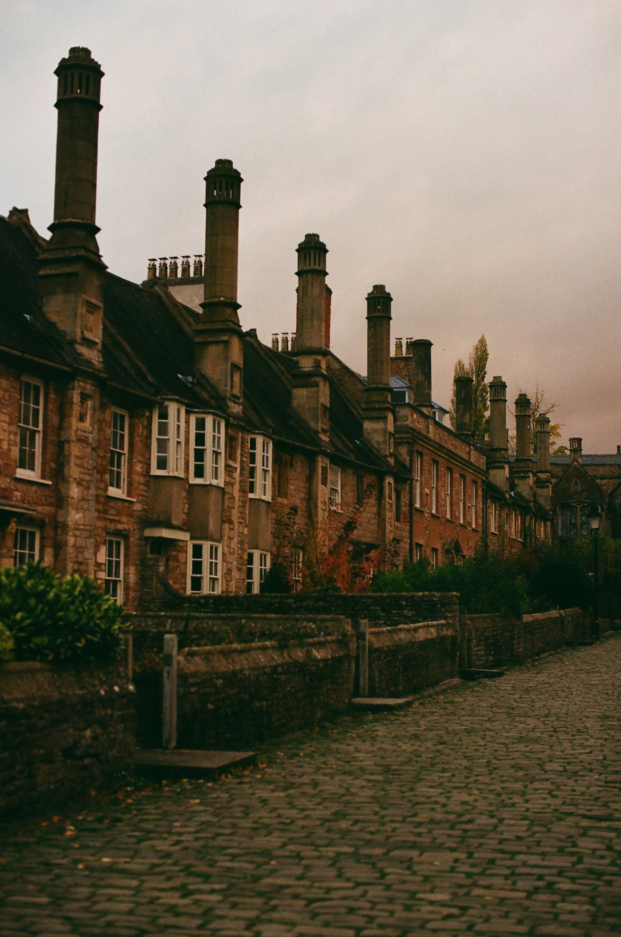 Photo by tanyabarrow