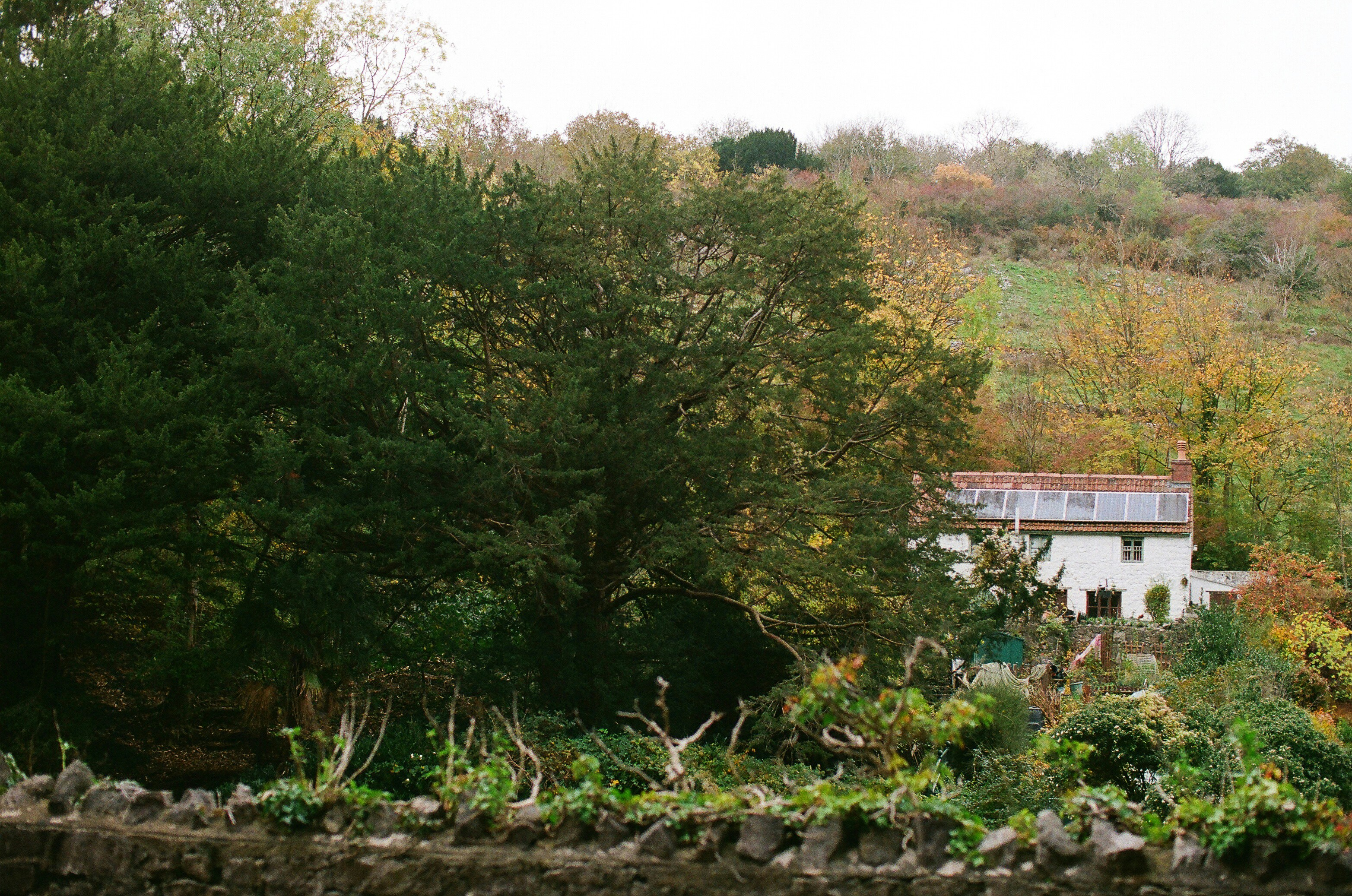 Photo by tanyabarrow