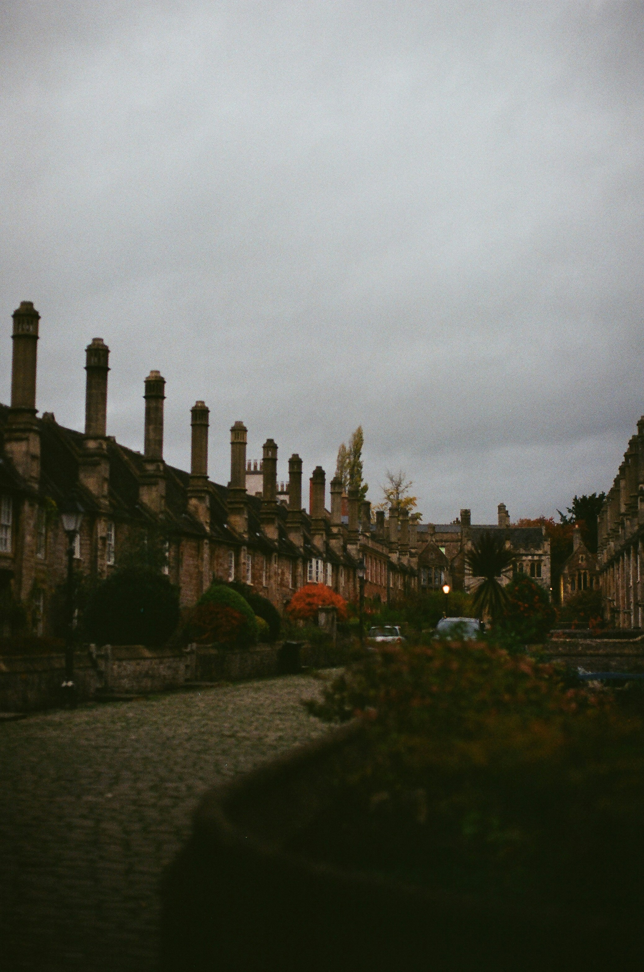 Photo by tanyabarrow