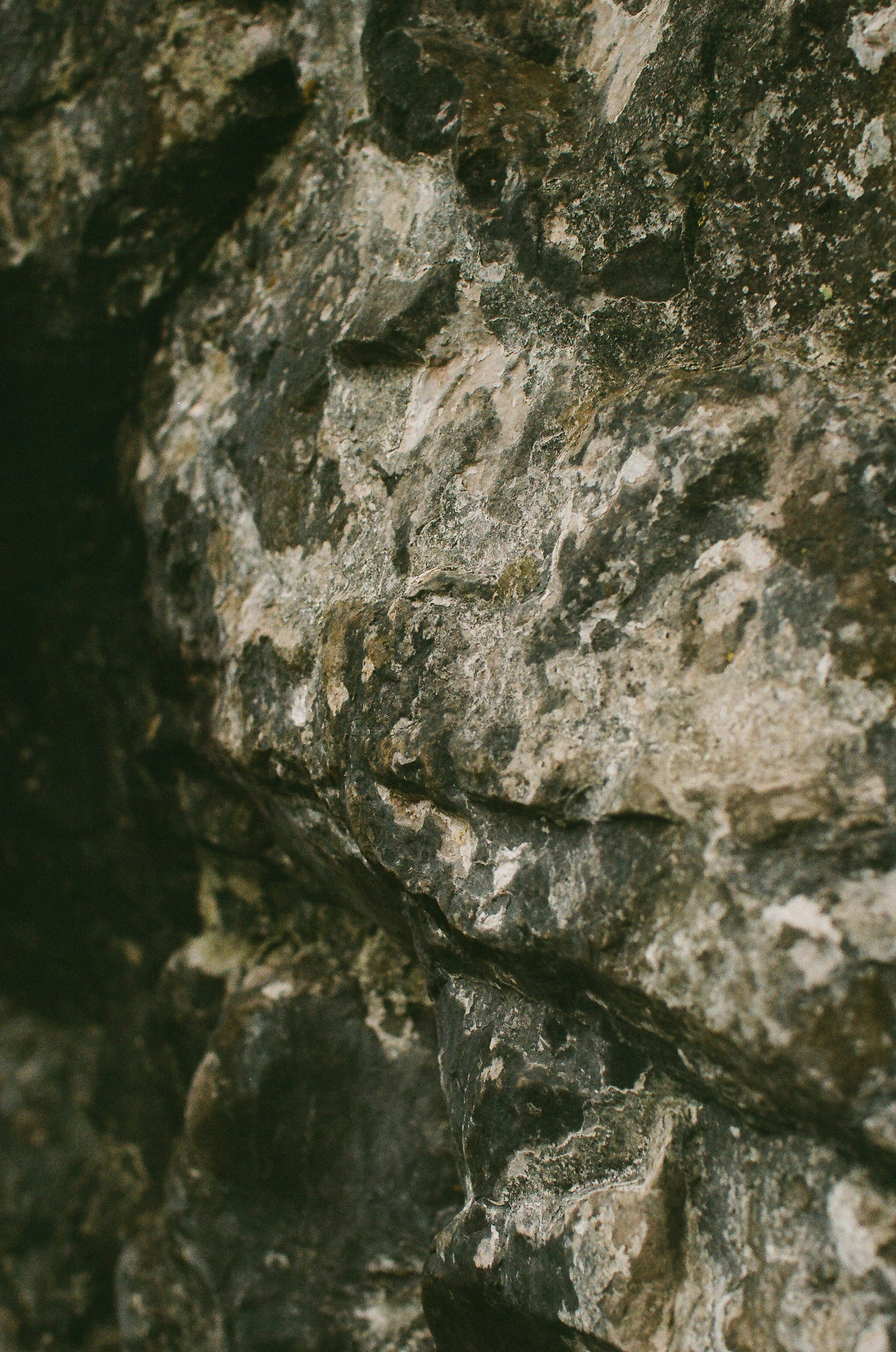 Photo by tanyabarrow