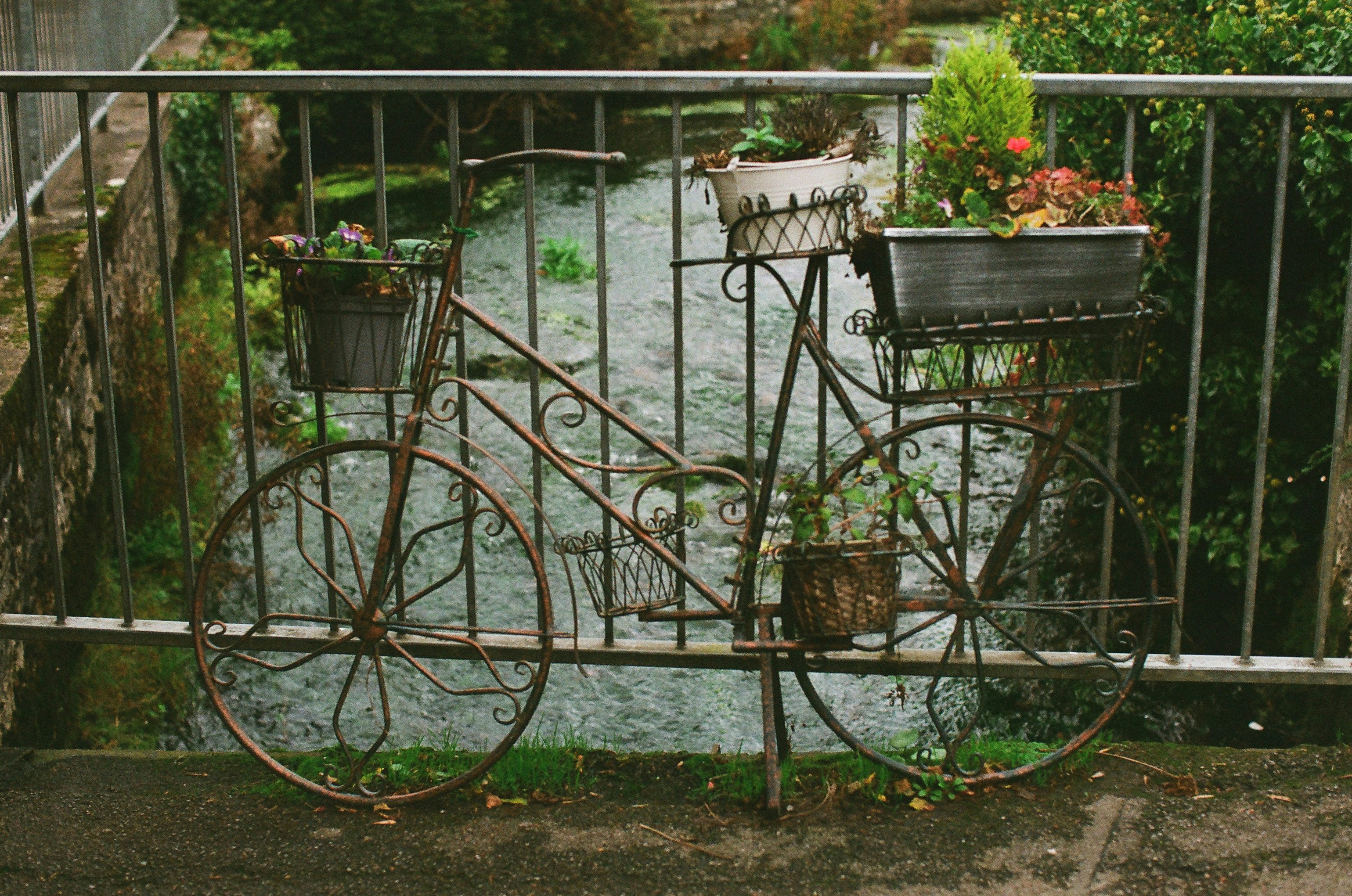Decorative bicycle planter with flowers by stream