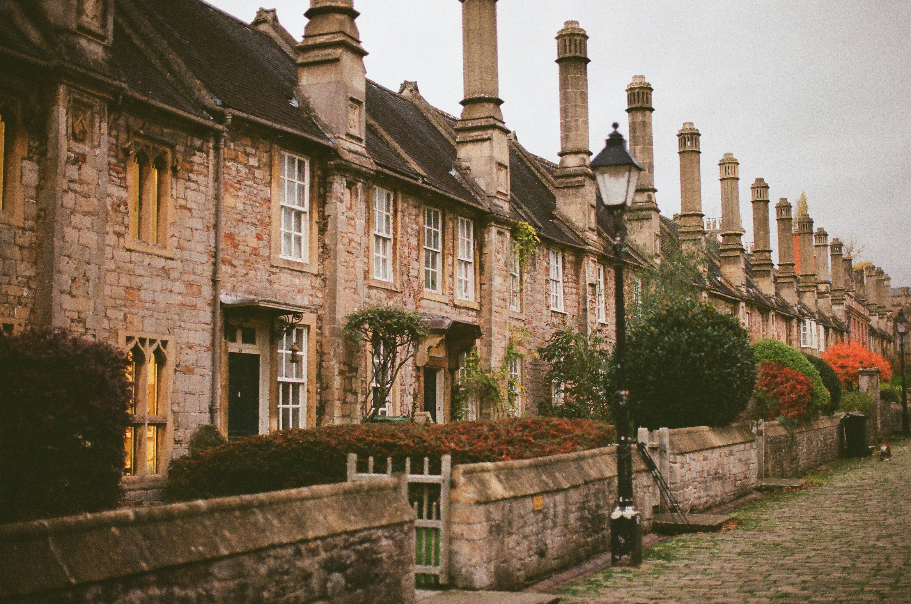 Photo by tanyabarrow