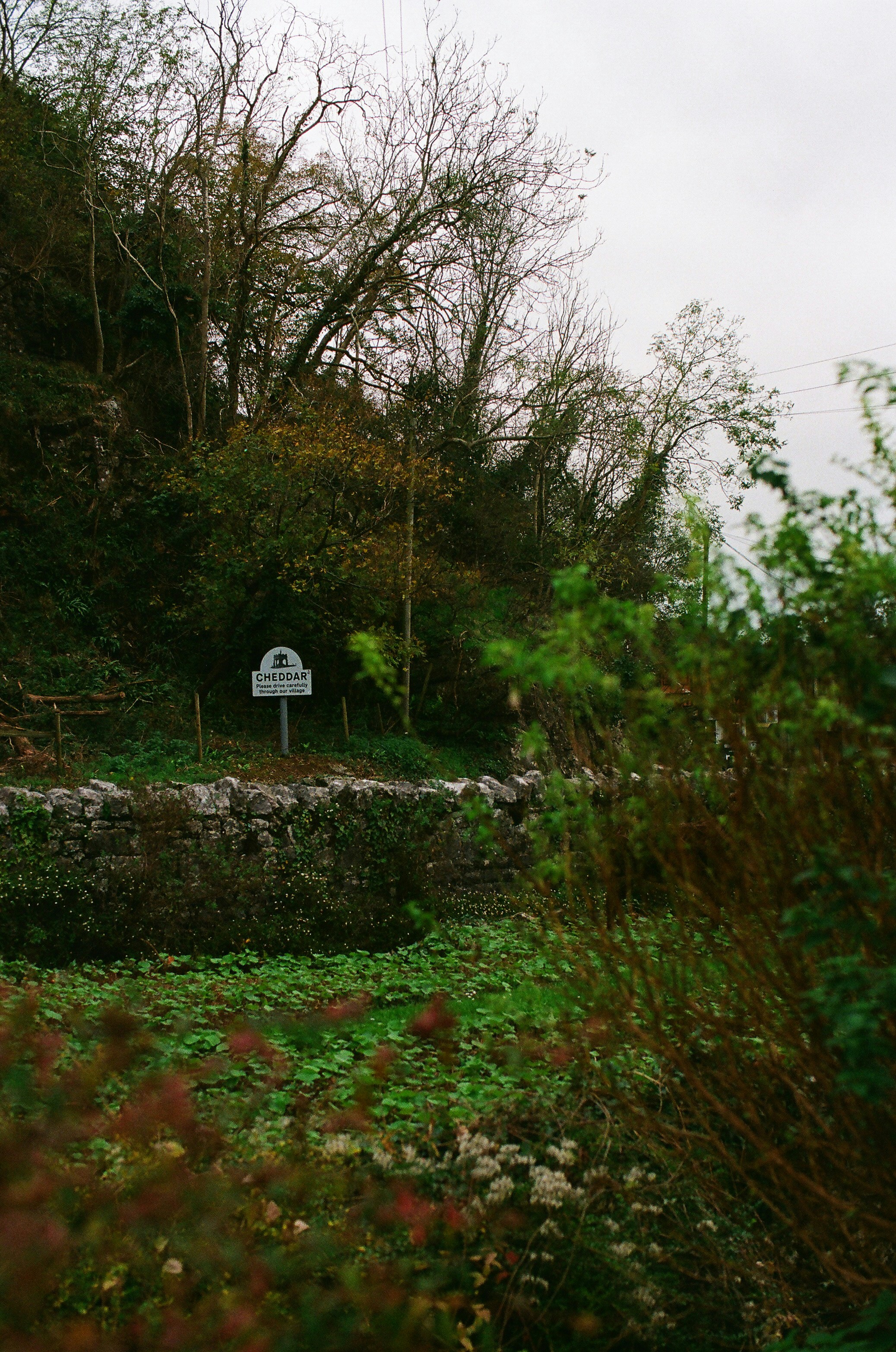 Photo by tanyabarrow