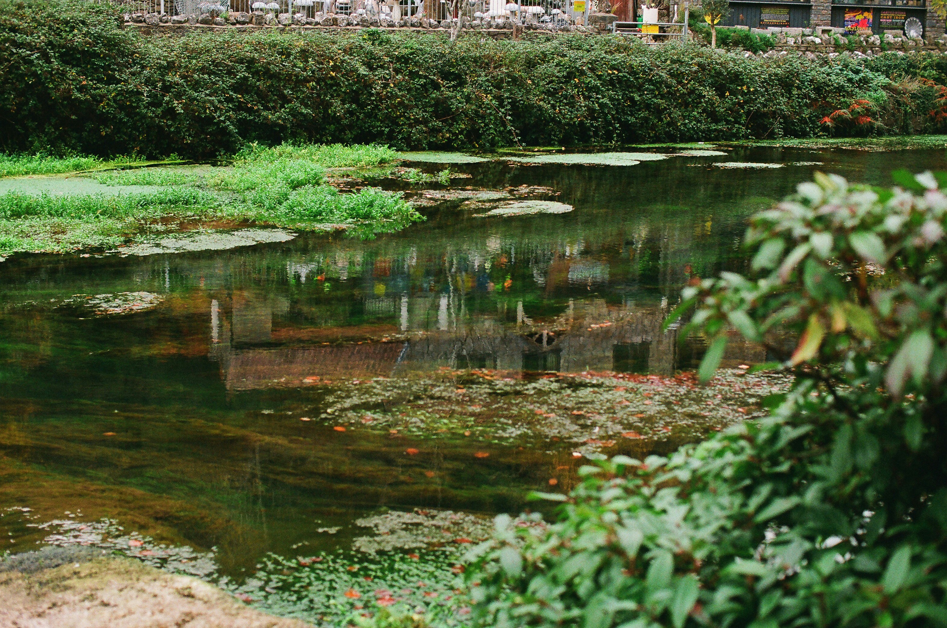 Photo by tanyabarrow