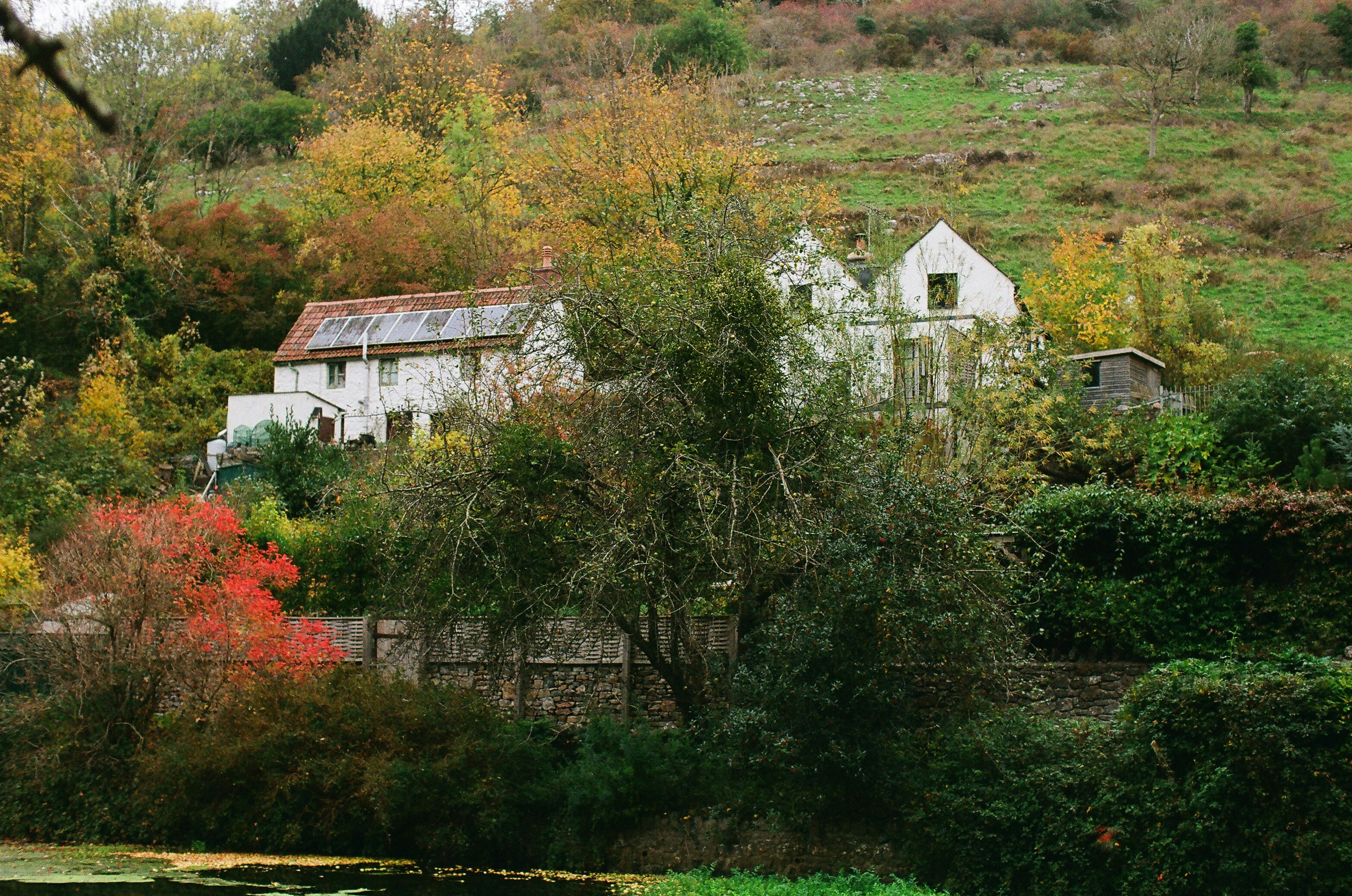 Photo by tanyabarrow