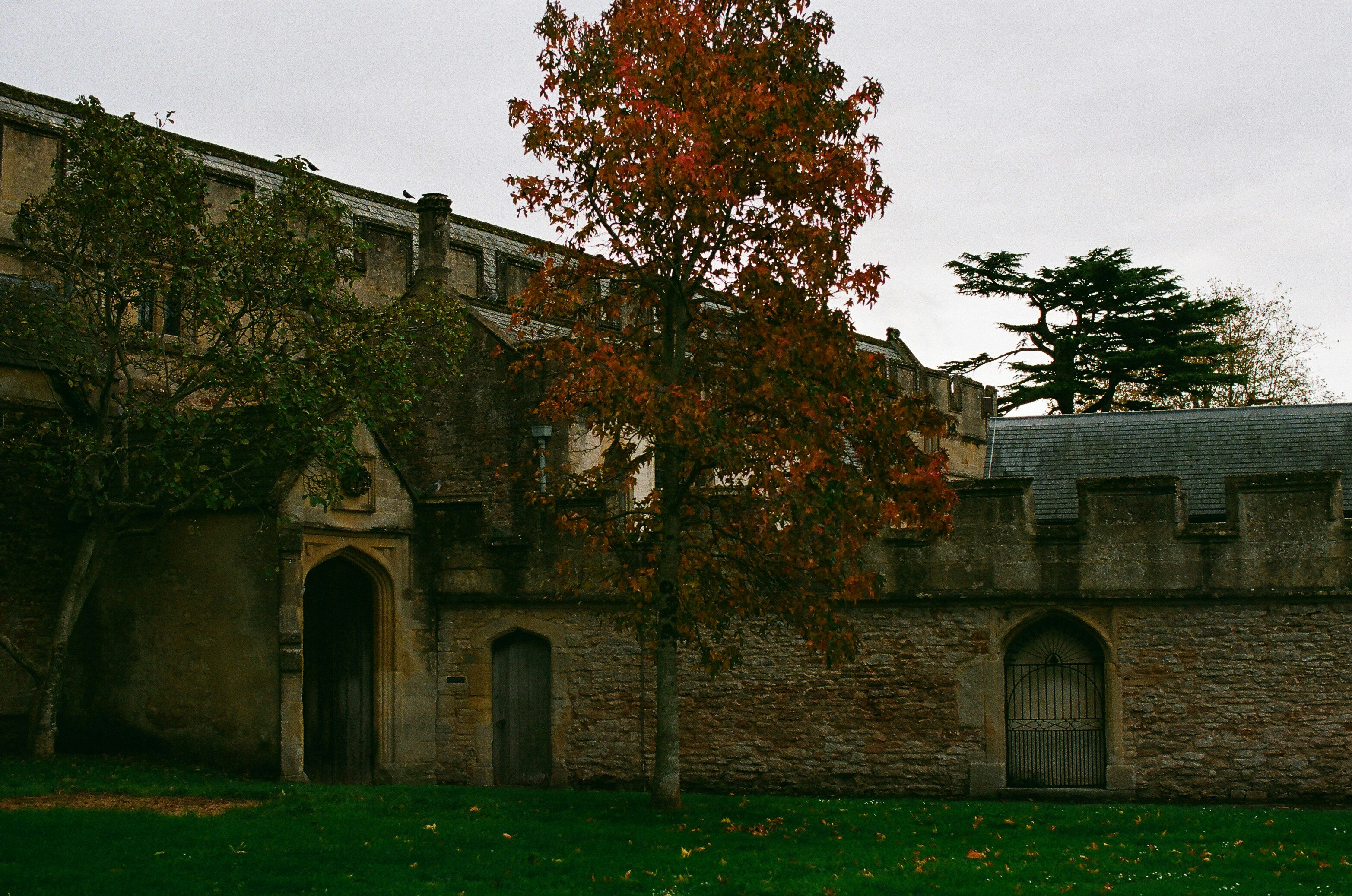 Photo by tanyabarrow