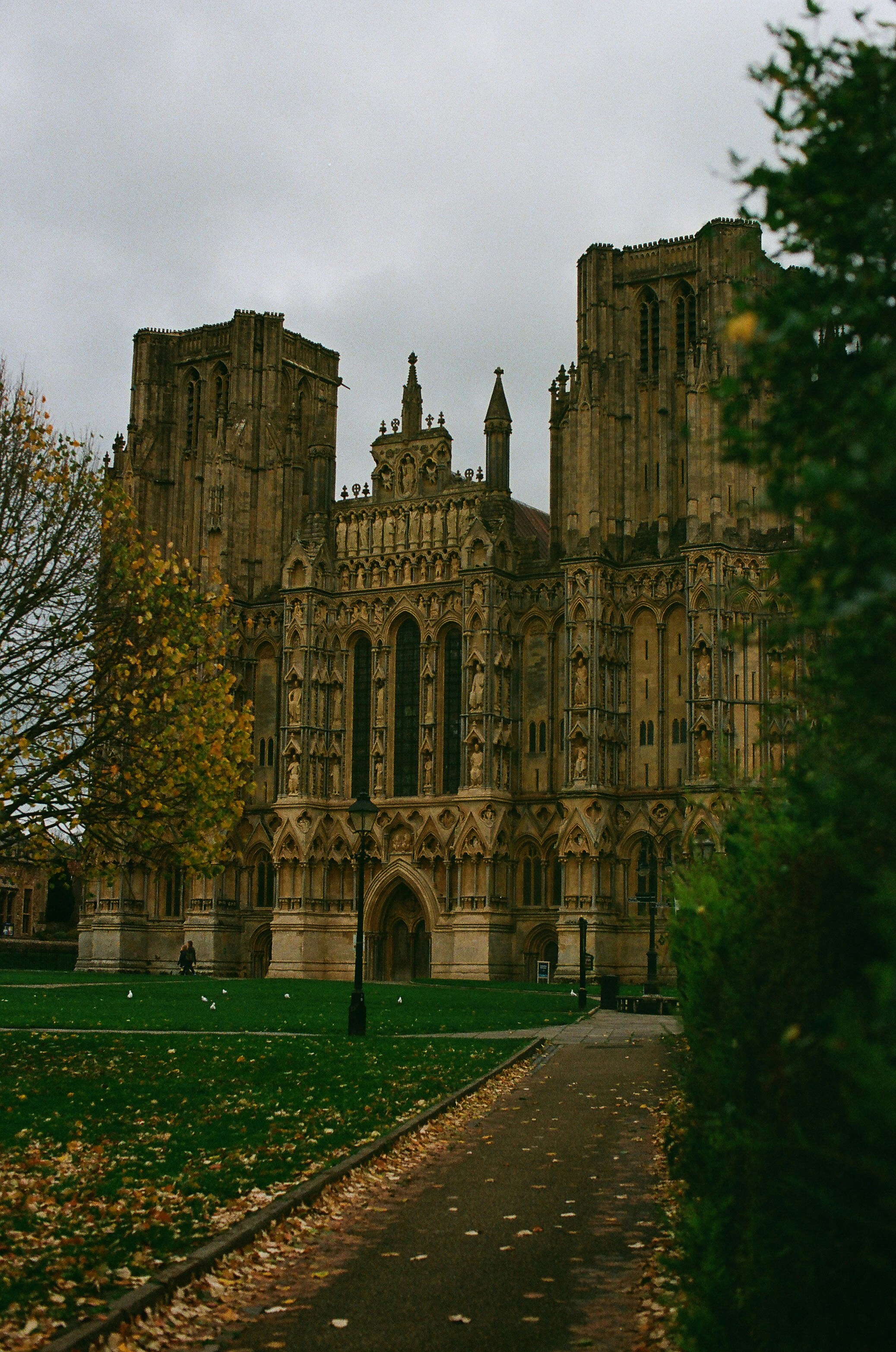 Photo by tanyabarrow