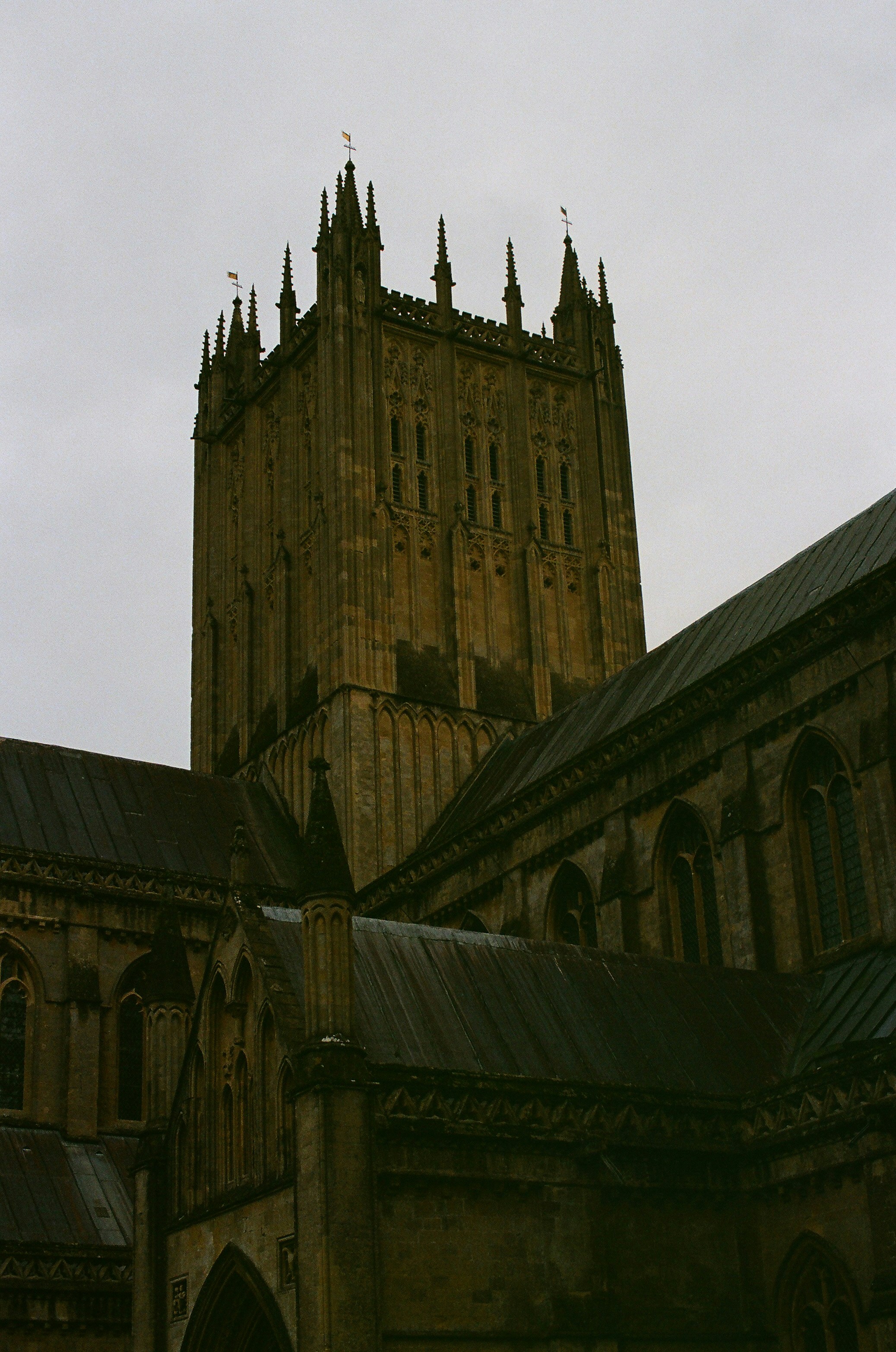 Photo by tanyabarrow