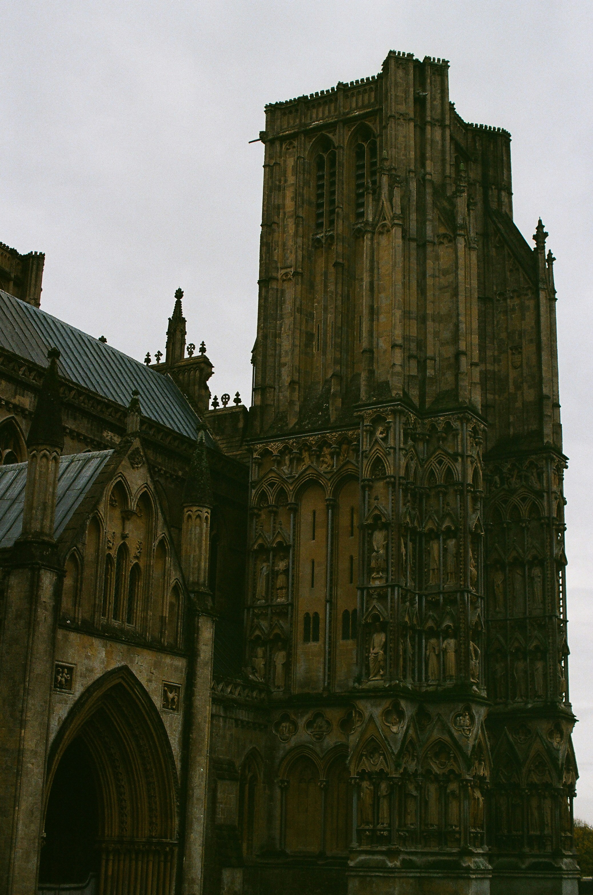 Photo by tanyabarrow