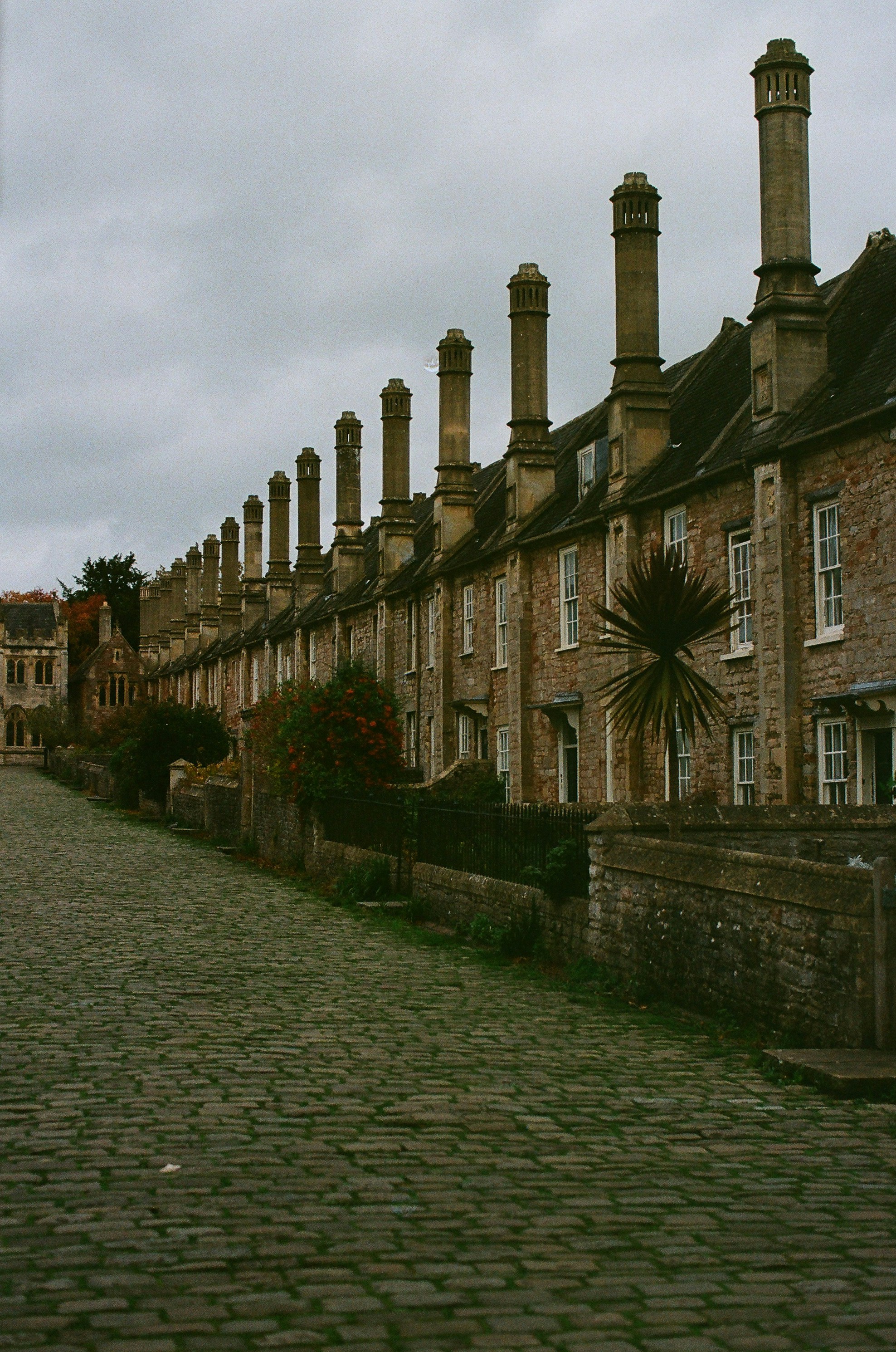 Photo by tanyabarrow