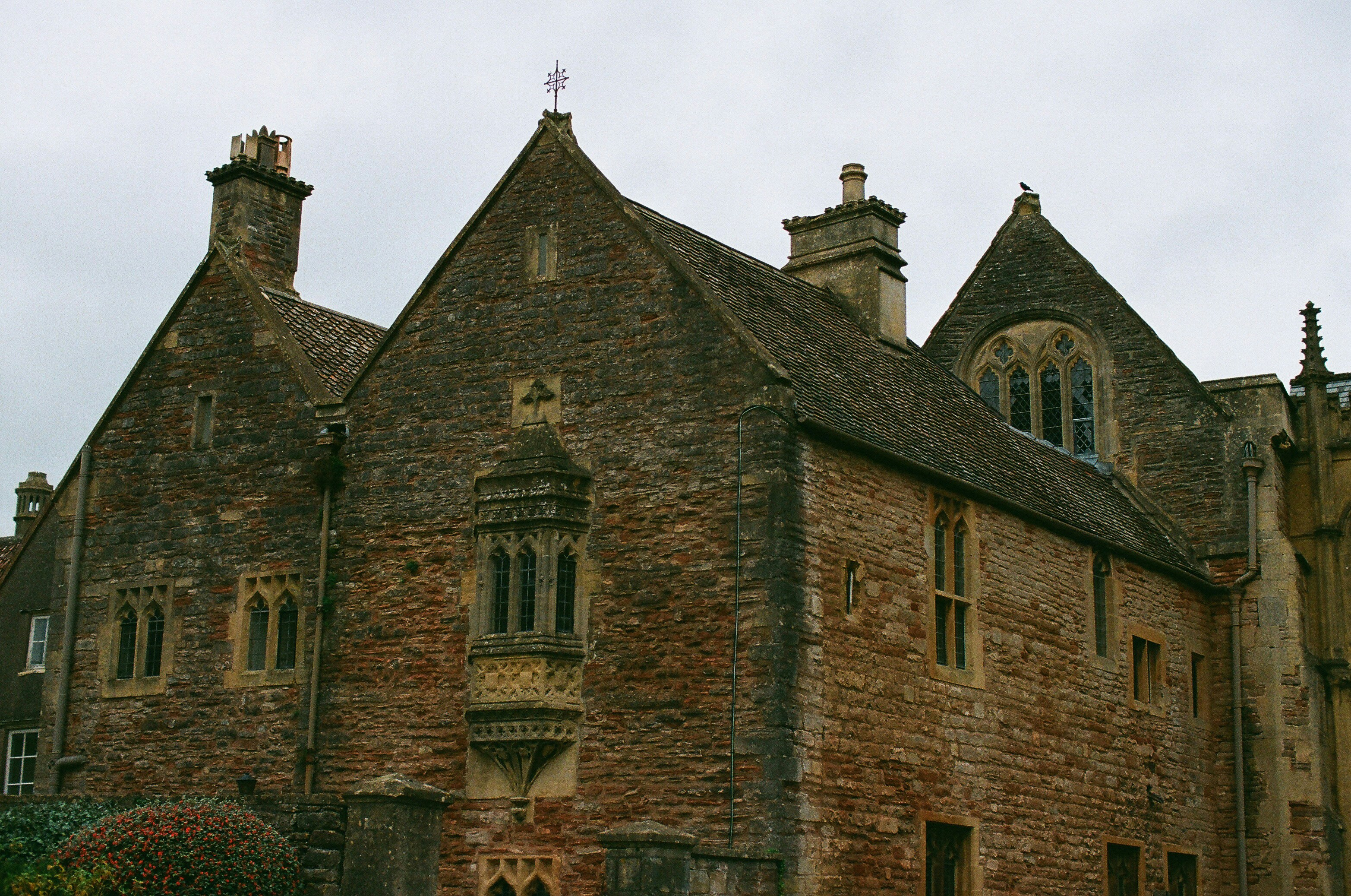 Photo by tanyabarrow