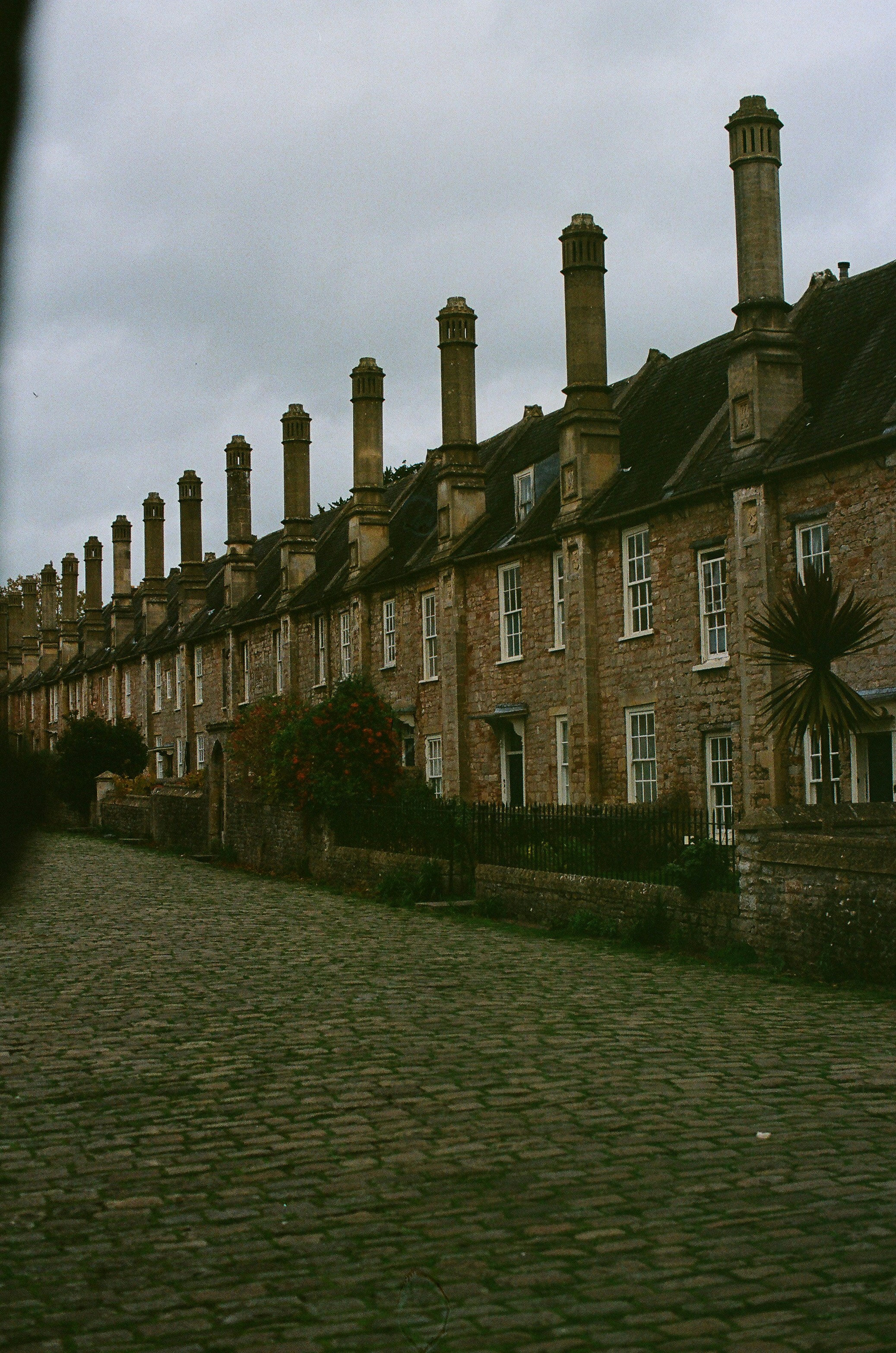 Photo by tanyabarrow