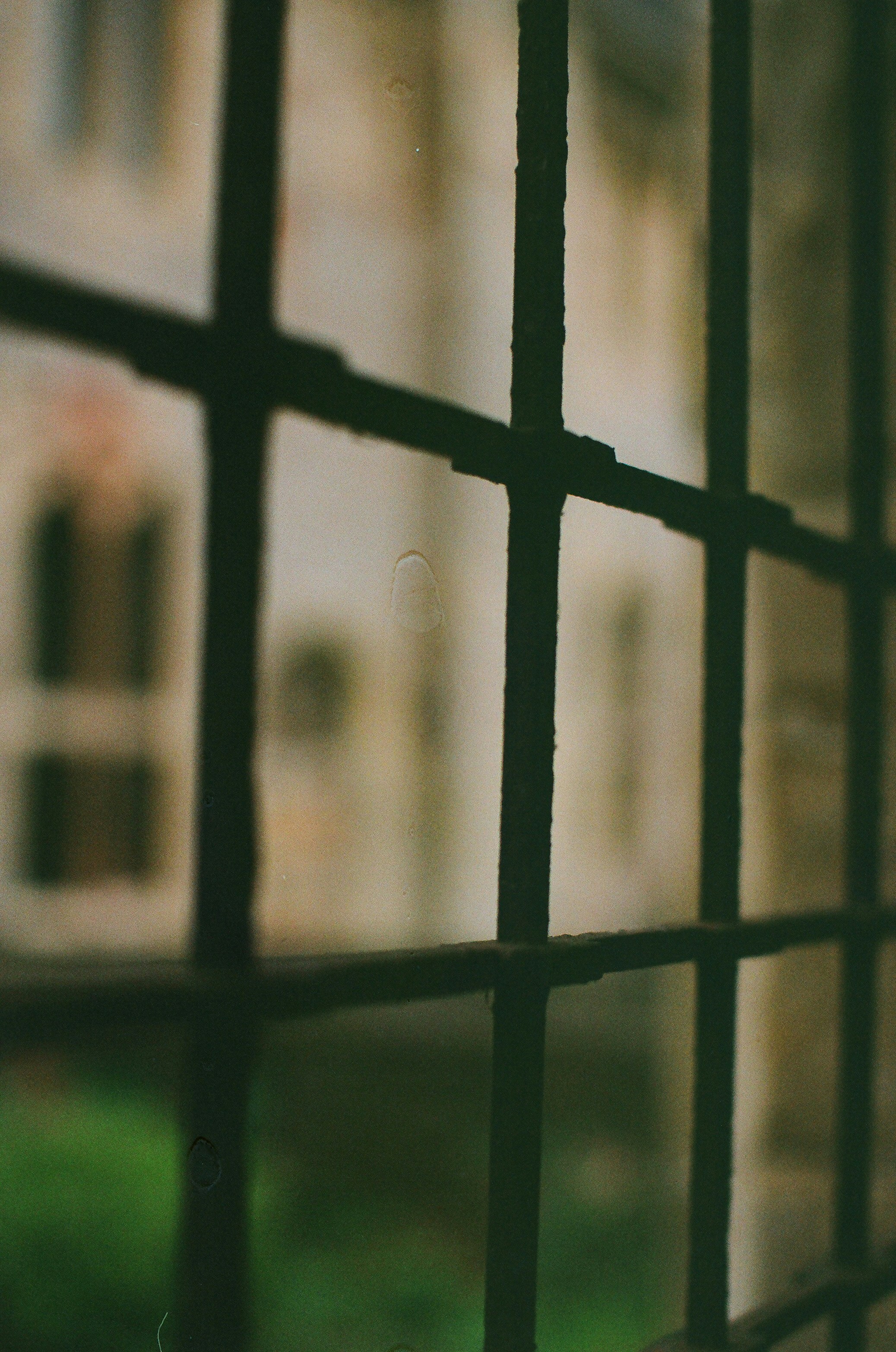 Photo by tanyabarrow