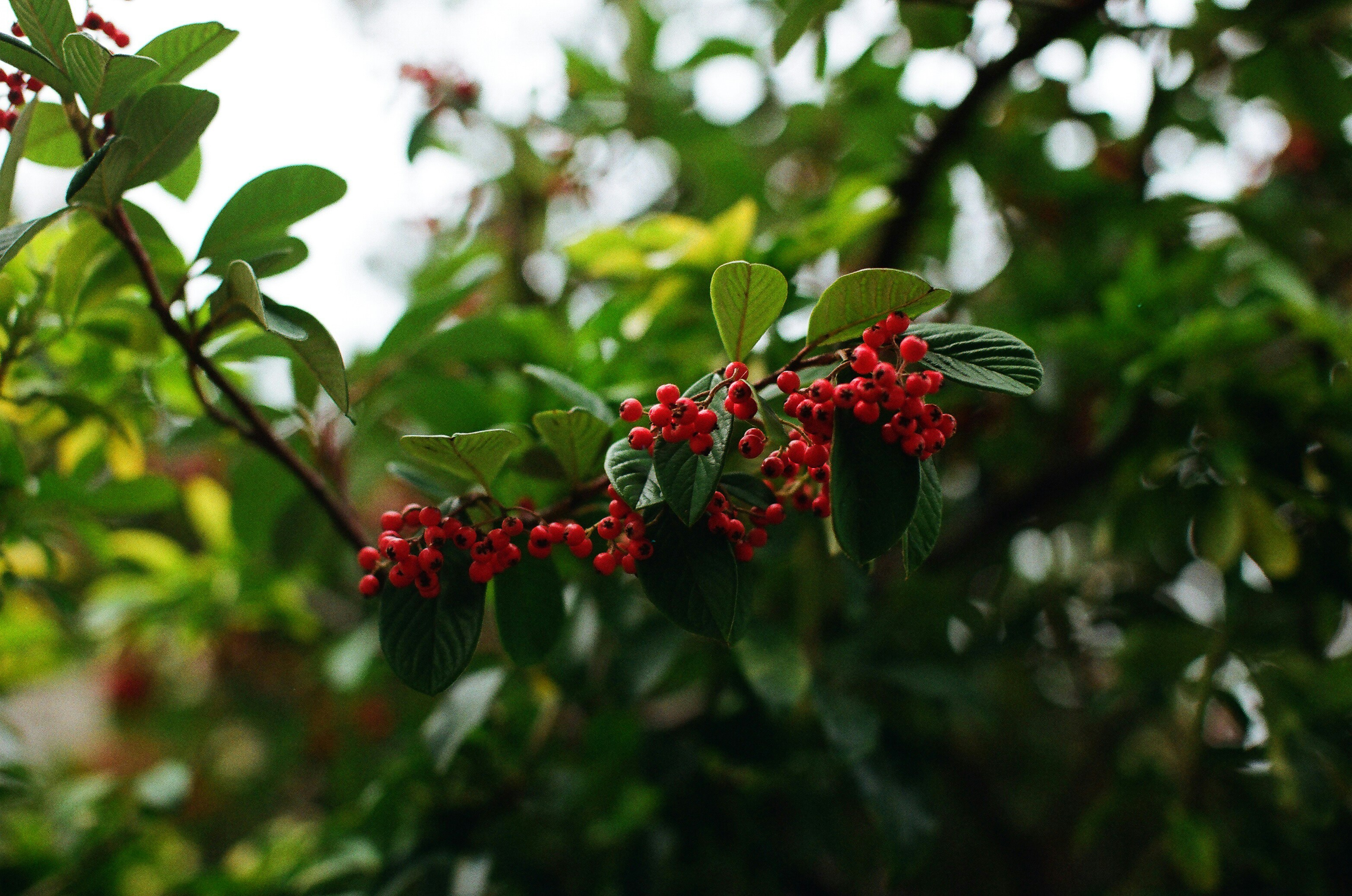 Photo by tanyabarrow