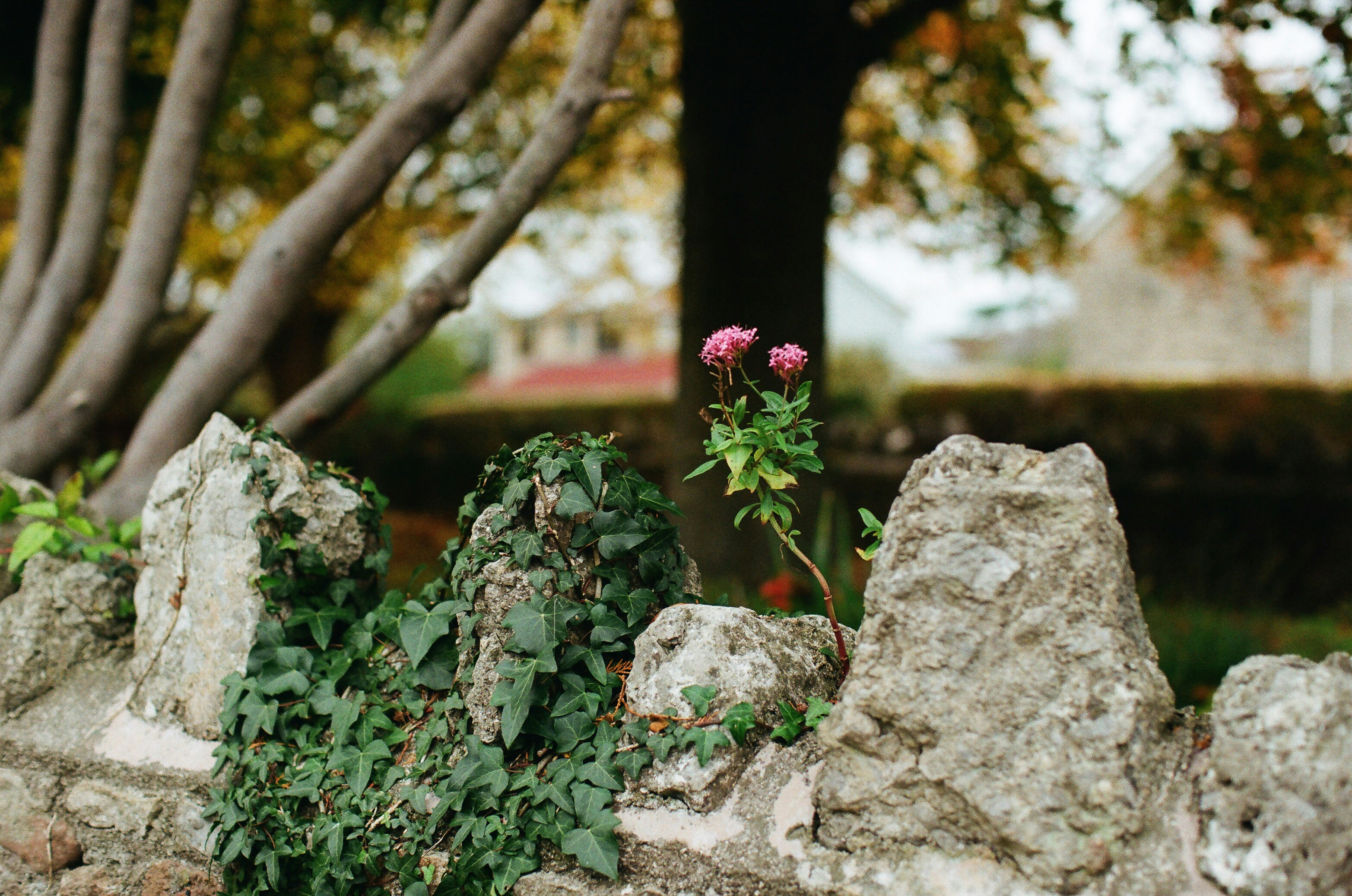 Photo by tanyabarrow