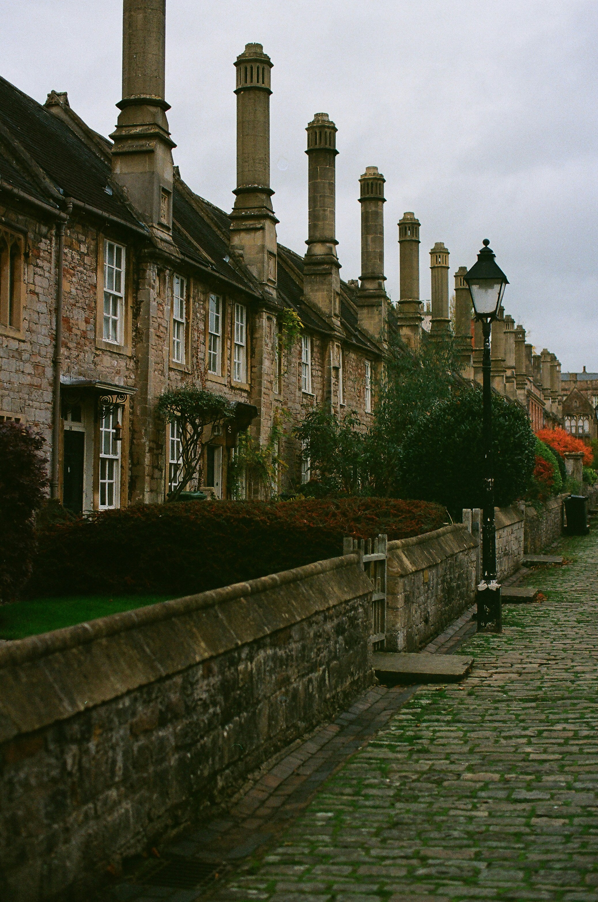 Photo by tanyabarrow