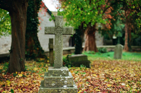 Пам'ятник з ємельянівського коричневого граніту