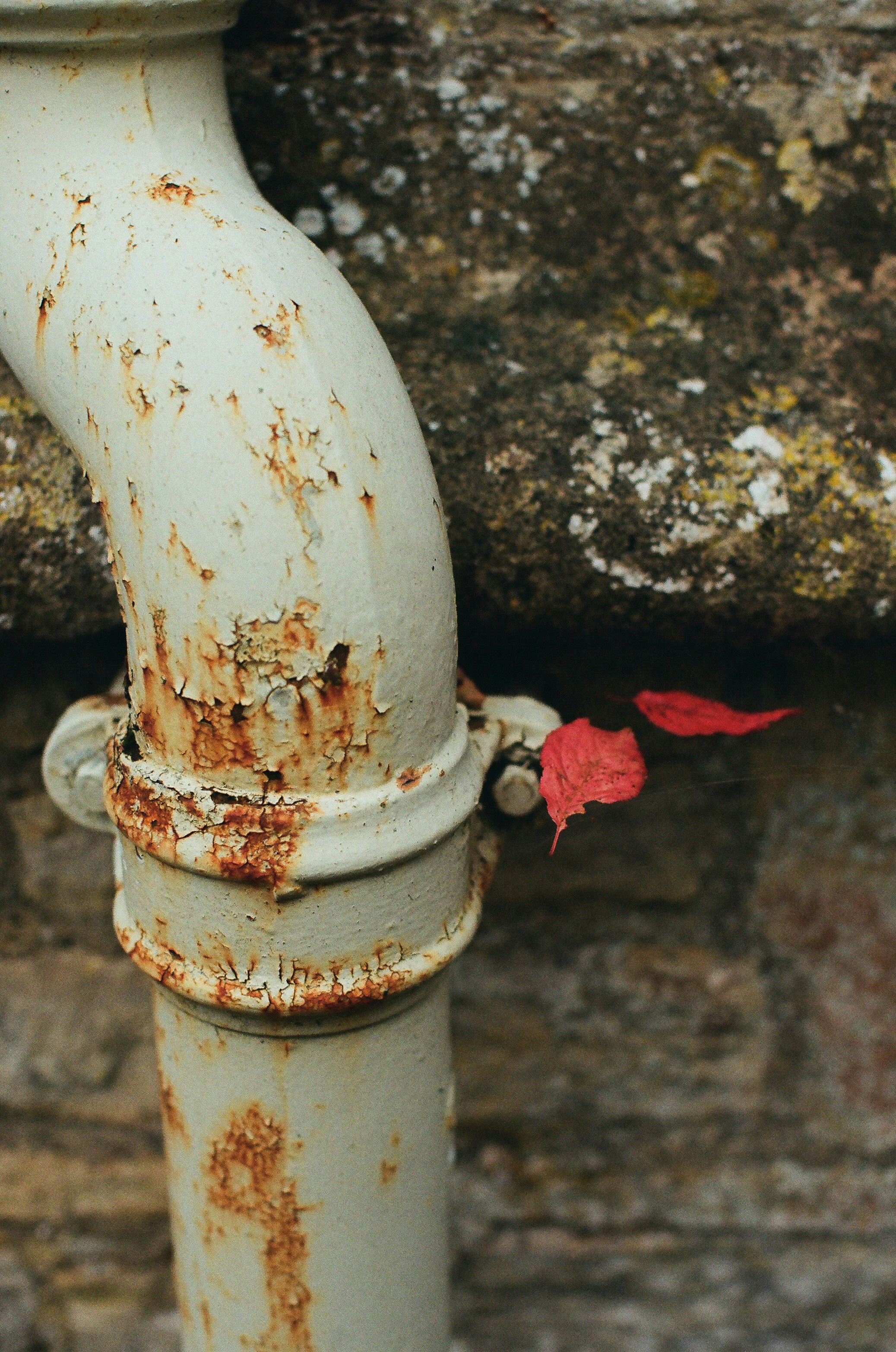 Freeze-thaw pipe damage showing cracks and corrosion in Columbus home