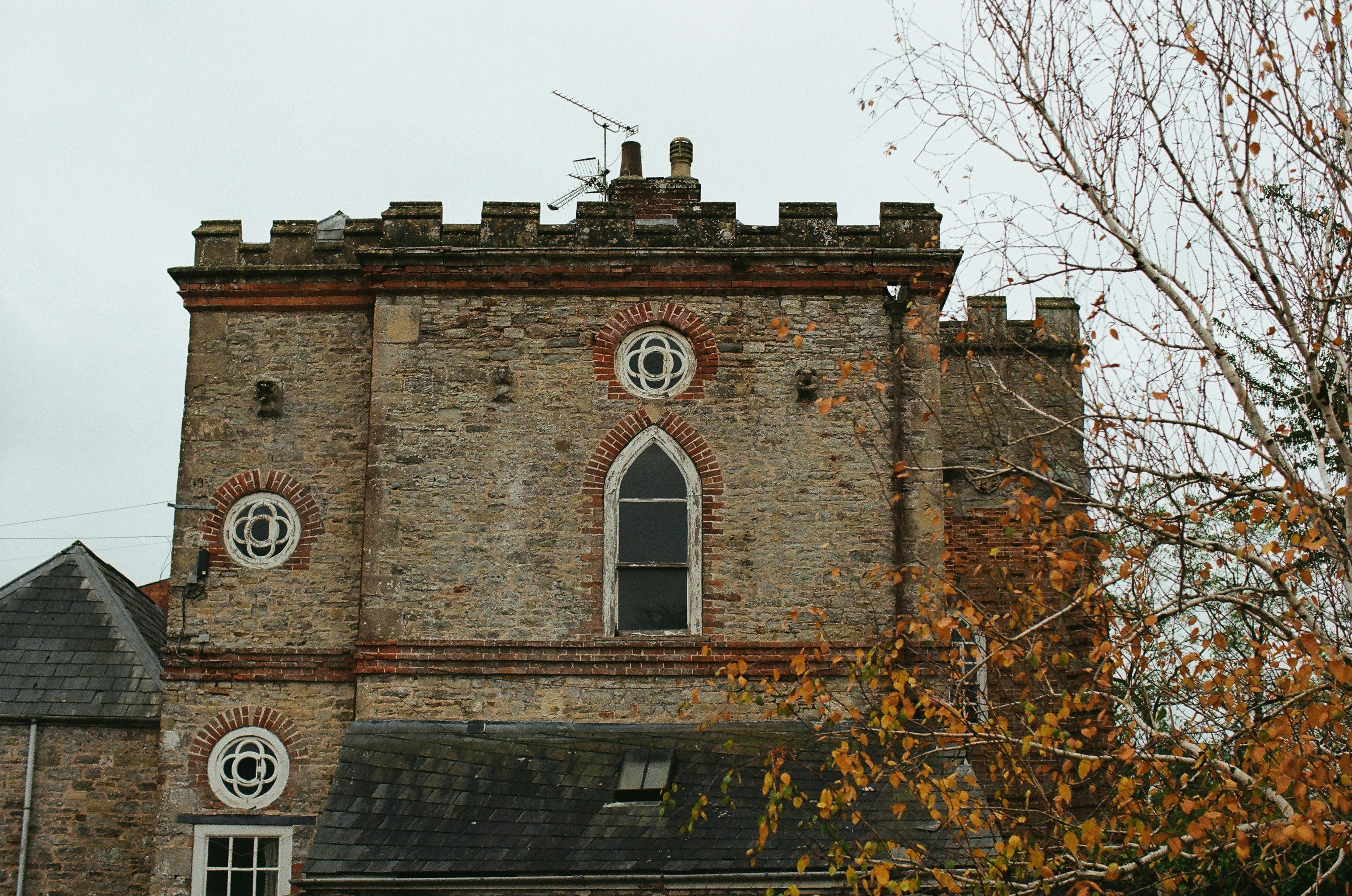 Photo by tanyabarrow