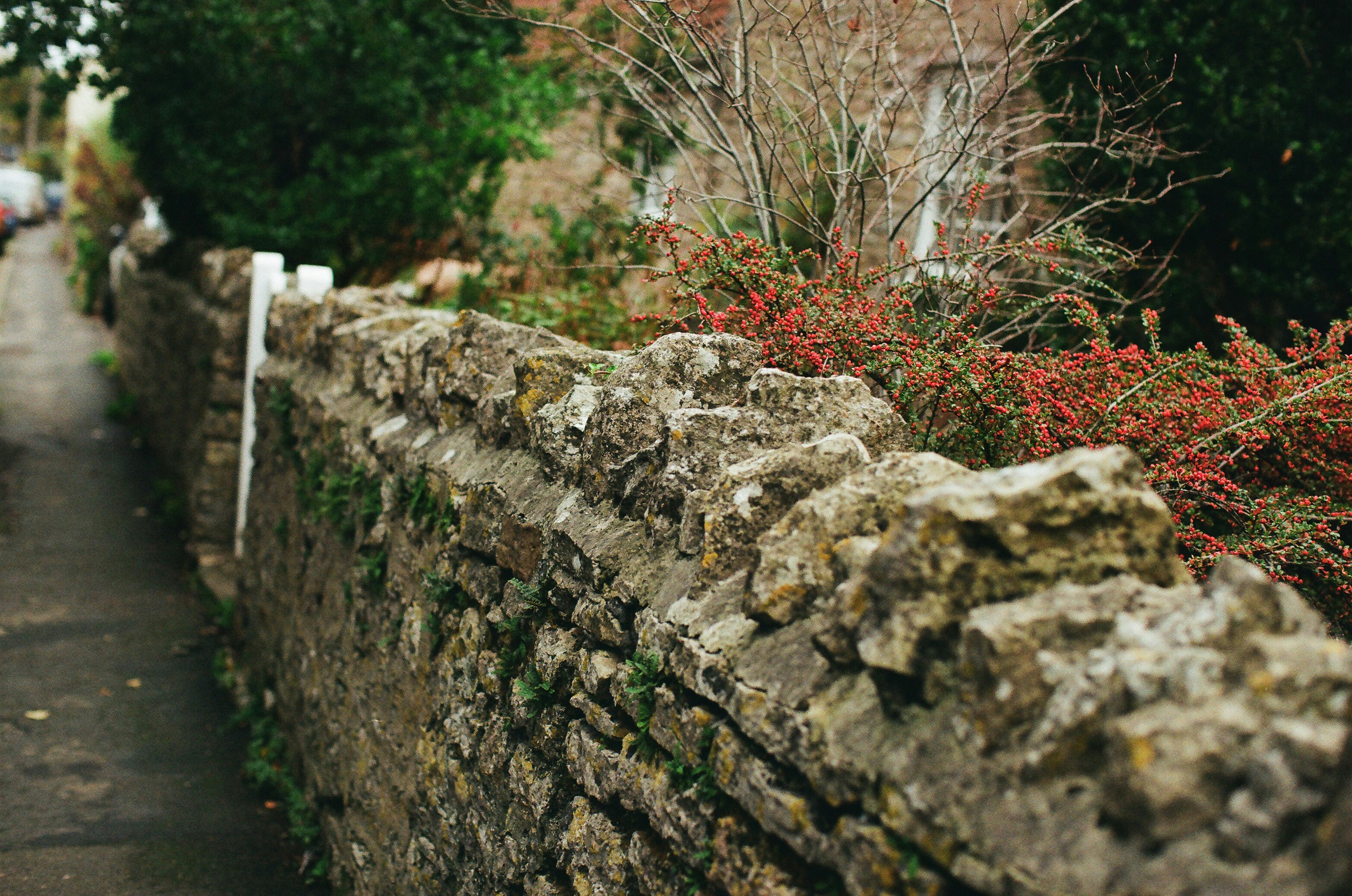 Photo by tanyabarrow