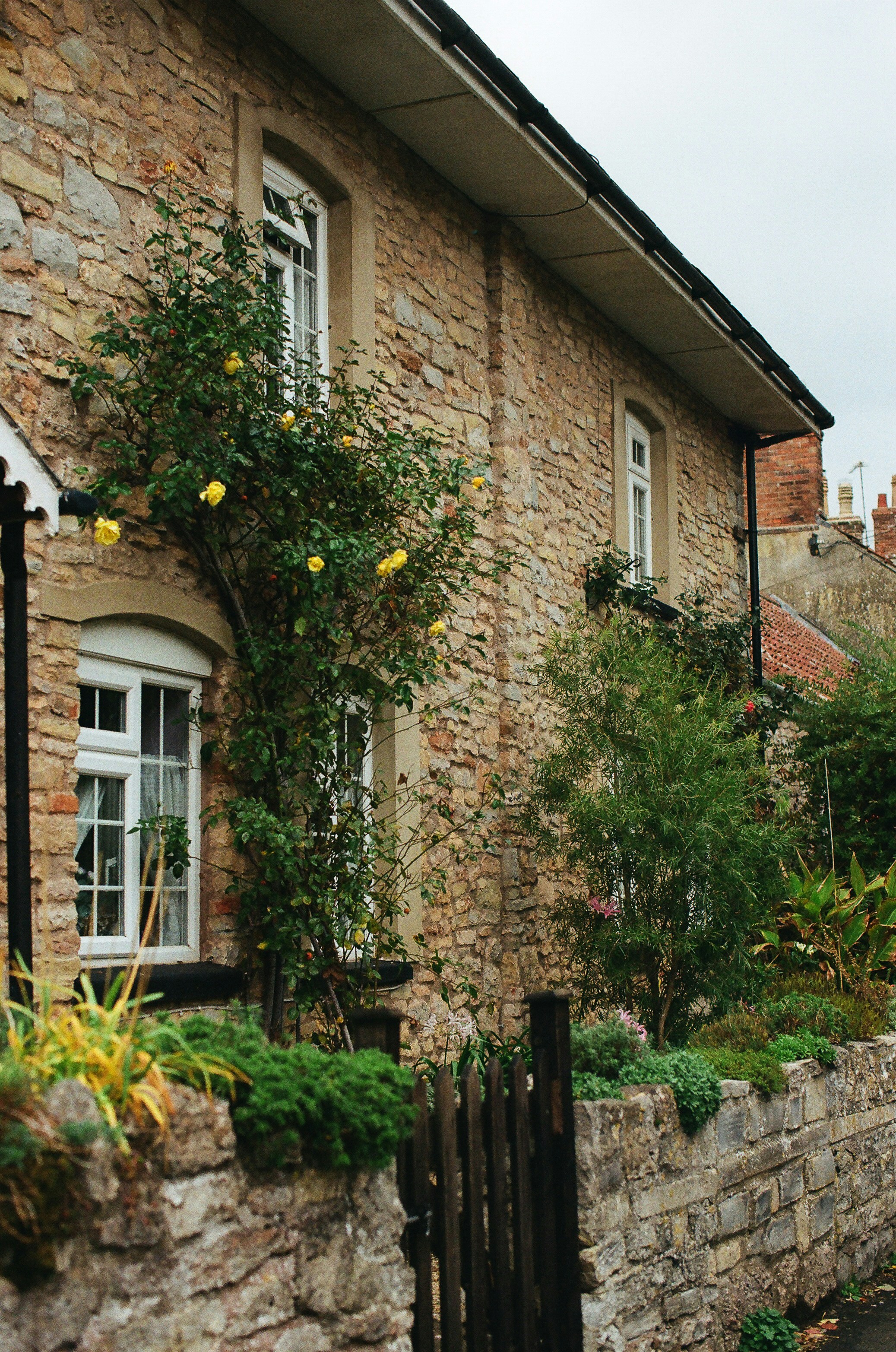 Photo by tanyabarrow