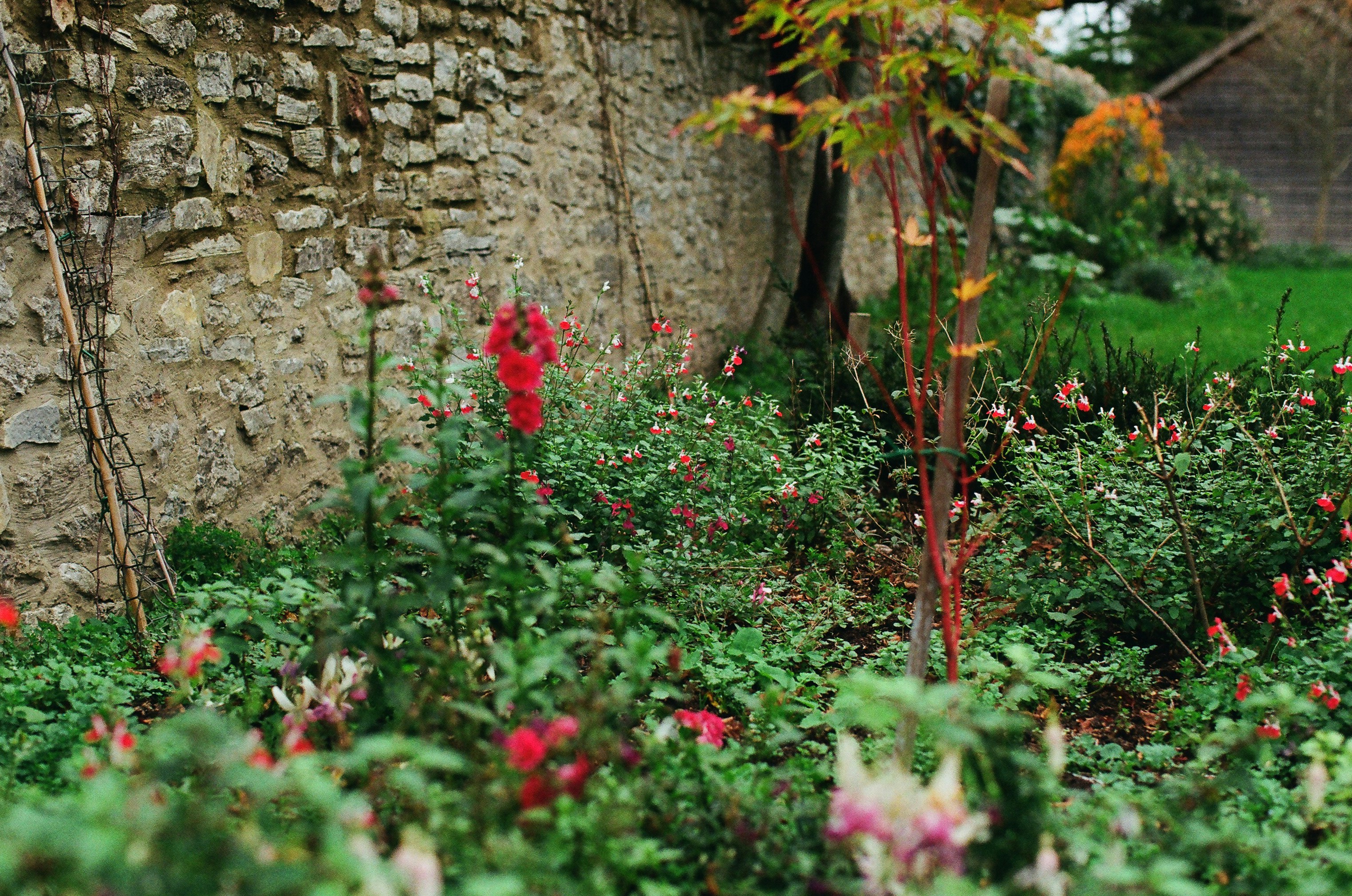 Photo by tanyabarrow