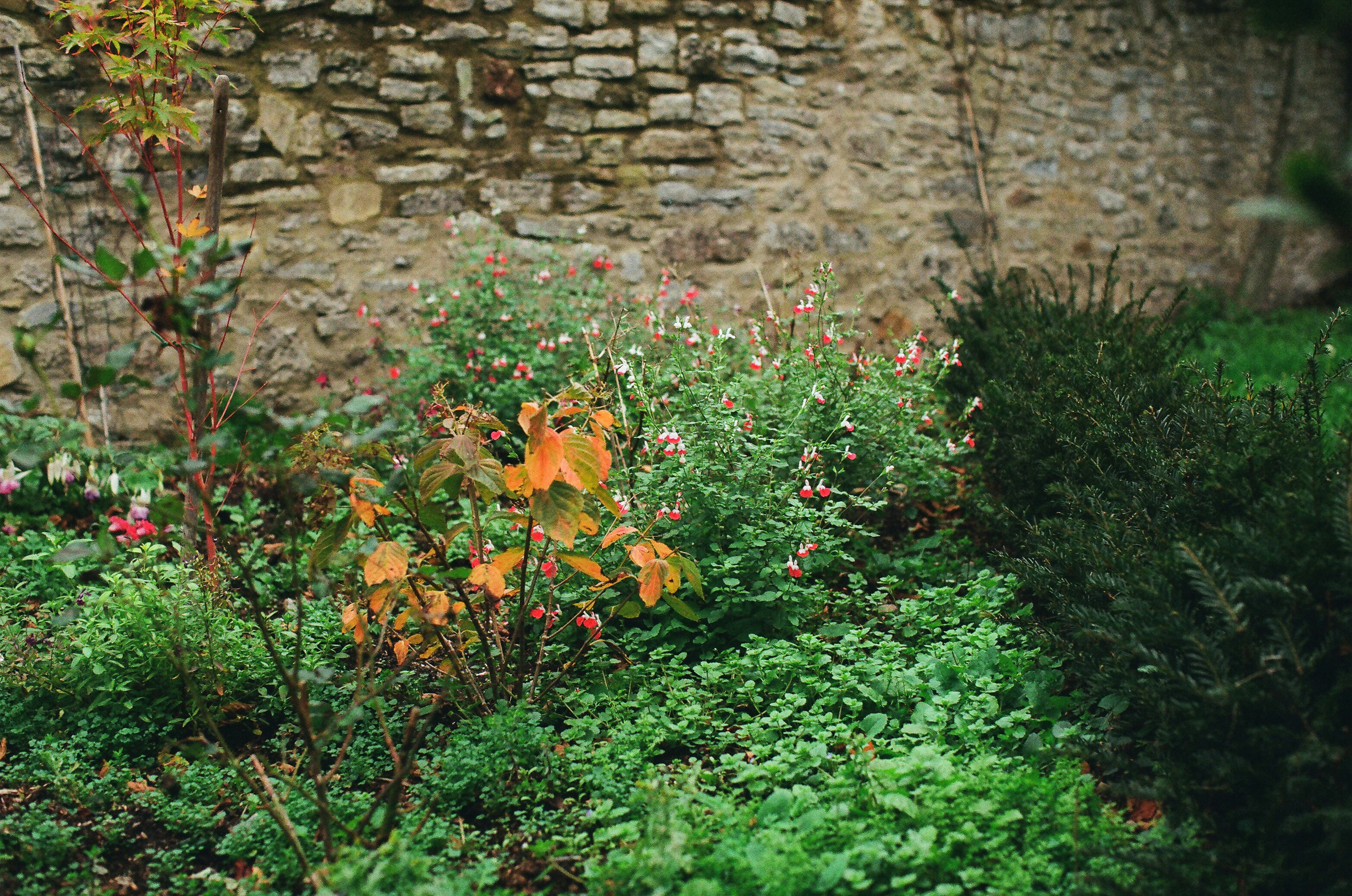 Photo by tanyabarrow