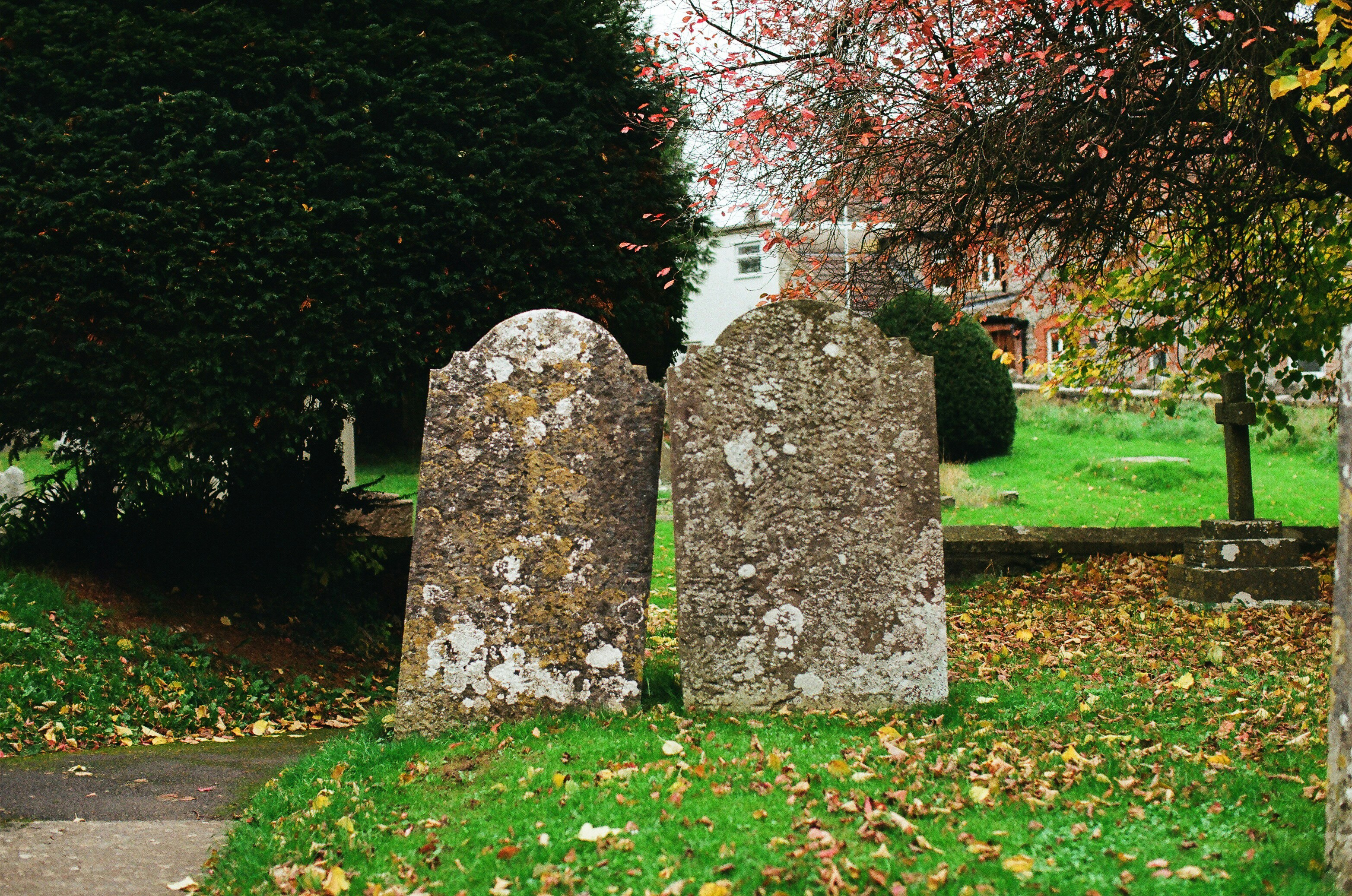 Photo by tanyabarrow