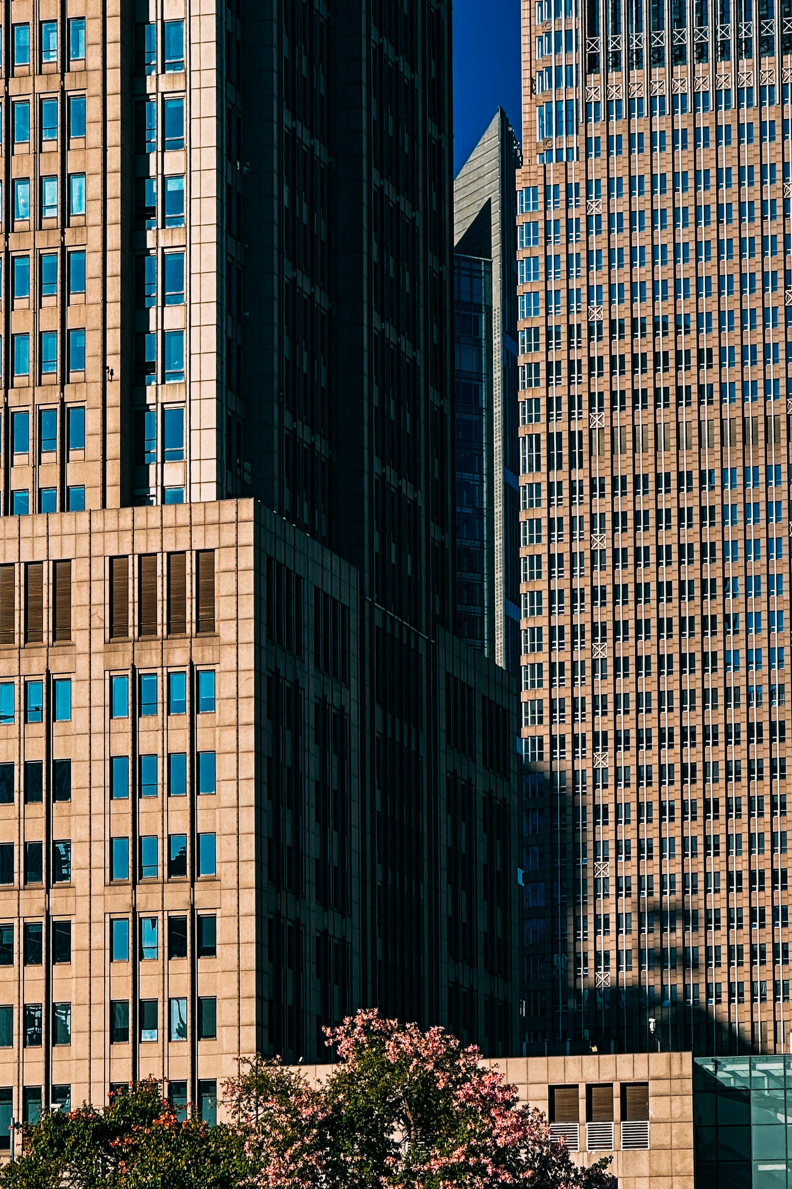 Photo by dickenslin76